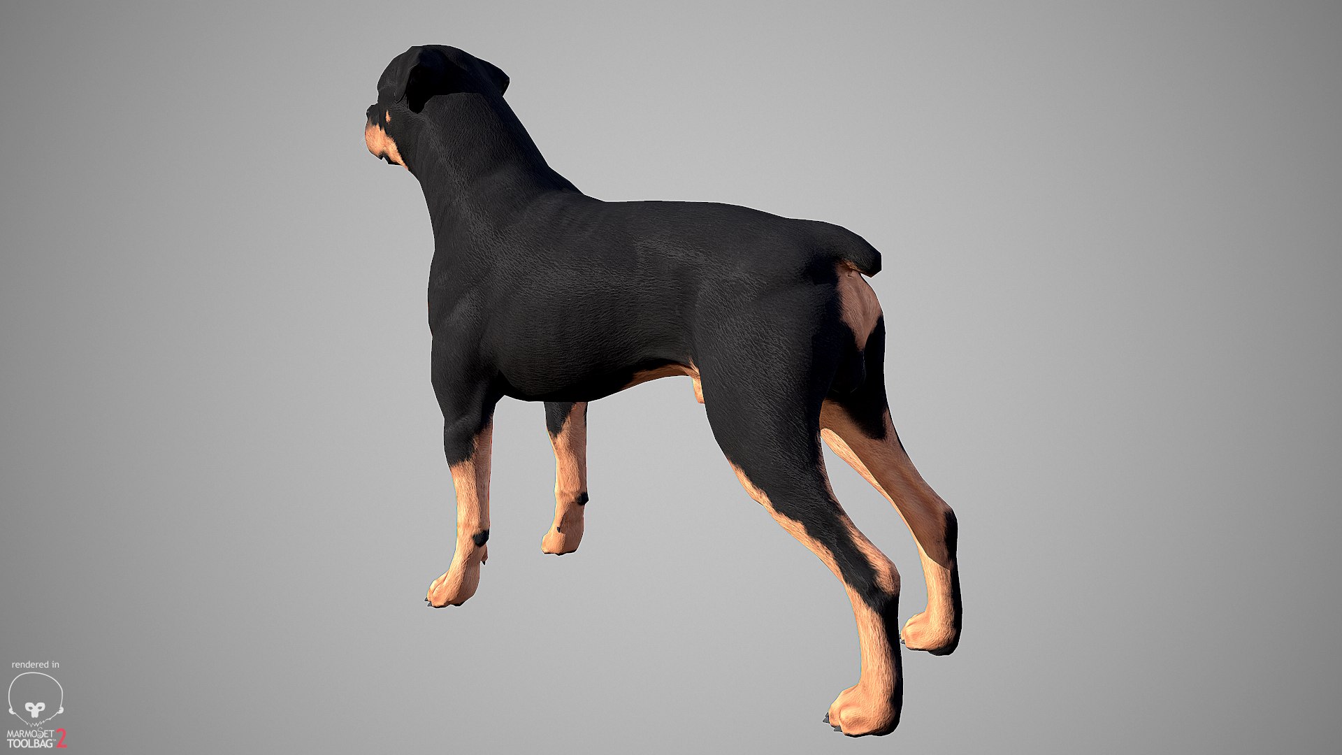 3ds guard dog pack https://p.turbosquid.com/ts-thumb/Ex/GFacbU/ERHxZcyE/rottweiler_by_alexlashko_marmoset_04/png/1472649708/1920x1080/fit_q87/8e0dba3f68591fa1a89fd1f378598443eda965ac/rottweiler_by_alexlashko_marmoset_04.jpg