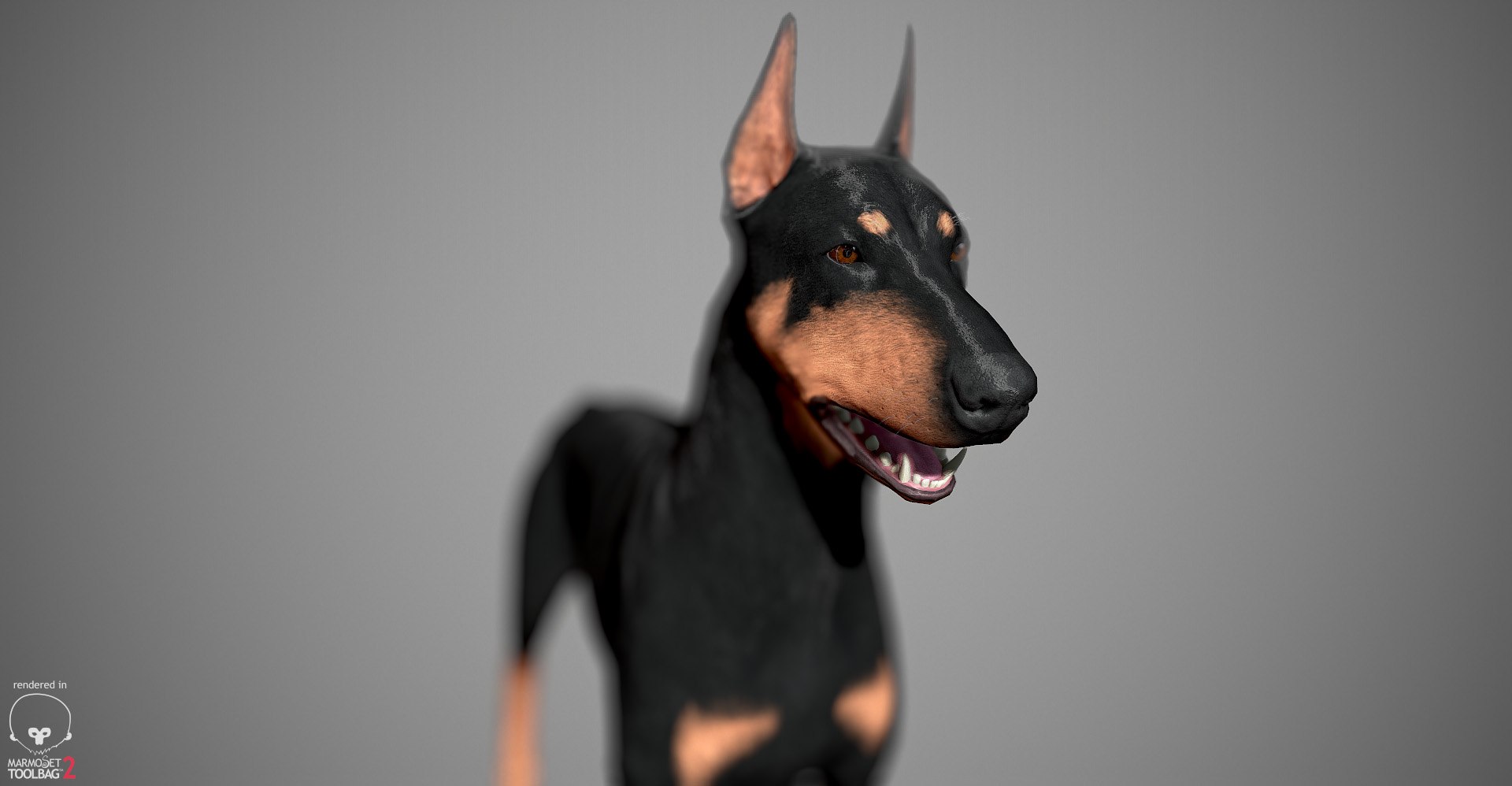 3ds guard dog pack https://p.turbosquid.com/ts-thumb/Ex/GFacbU/EfHgaXL7/doberman_by_alexlashko_marmoset_26/jpg/1472654119/1920x1080/fit_q87/d06c2e035e06edeee759001e9cdfb4a0205be62b/doberman_by_alexlashko_marmoset_26.jpg