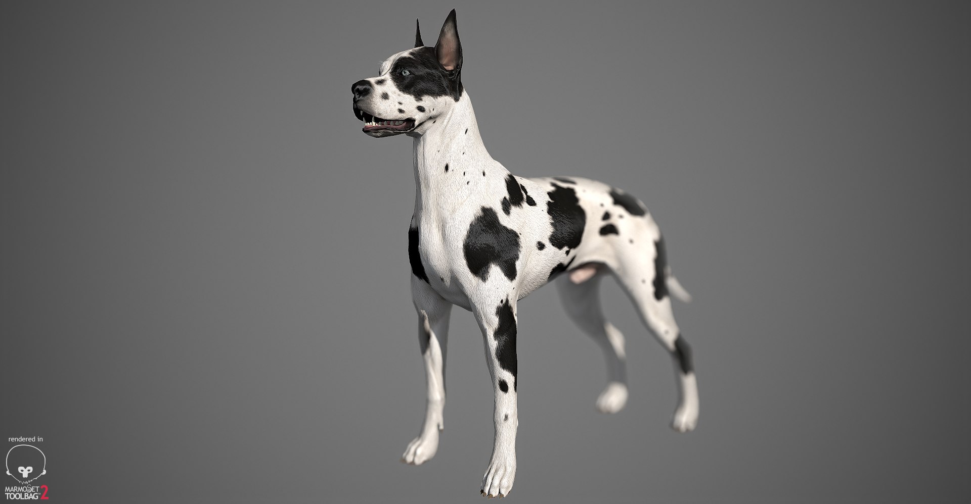 3ds guard dog pack https://p.turbosquid.com/ts-thumb/Ex/GFacbU/FXdcplO6/greatdane_marmoset_harl_13/jpg/1472653258/1920x1080/fit_q87/7d0975cc186273fb5024e67cea239cd82802b1b4/greatdane_marmoset_harl_13.jpg