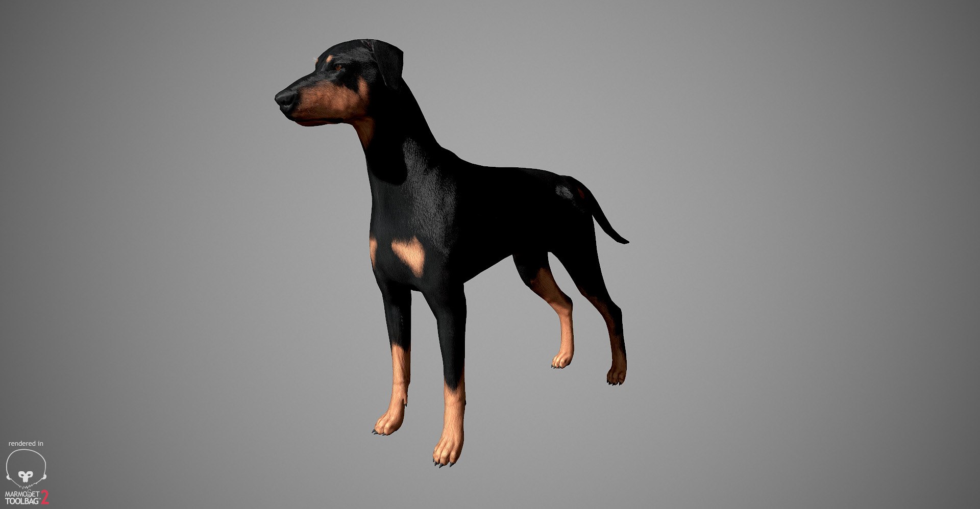 3ds guard dog pack https://p.turbosquid.com/ts-thumb/Ex/GFacbU/G2LBrDQX/doberman_by_alexlashko_marmoset_20/jpg/1472654119/1920x1080/fit_q87/1fa6bf2f40c30eb62a59822568213a767343257d/doberman_by_alexlashko_marmoset_20.jpg