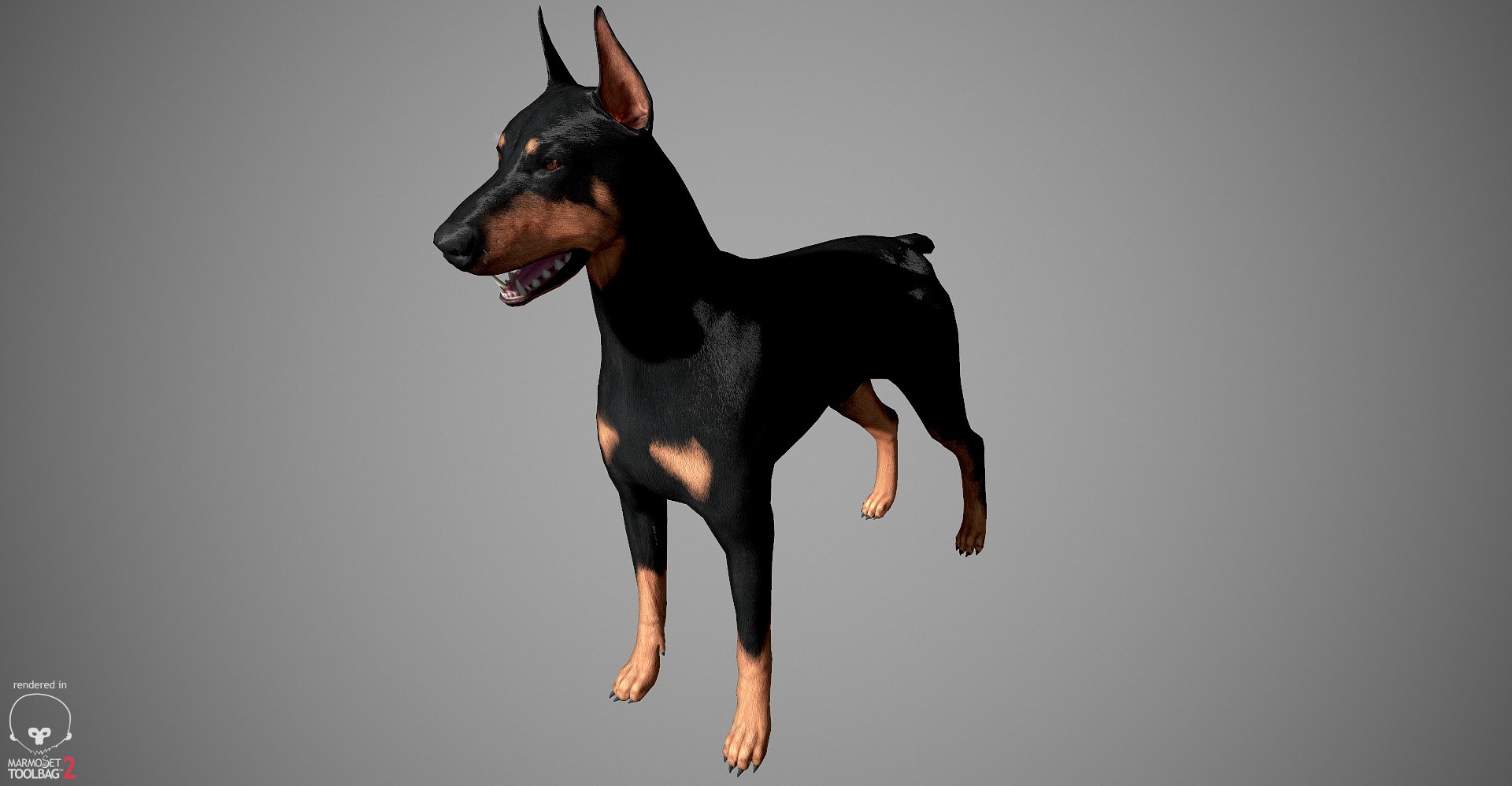 3ds guard dog pack https://p.turbosquid.com/ts-thumb/Ex/GFacbU/HoEZhhzh/doberman_by_alexlashko_marmoset_28/jpg/1472654119/1920x1080/fit_q87/69419984f73126a566afe7315b7e344331211887/doberman_by_alexlashko_marmoset_28.jpg