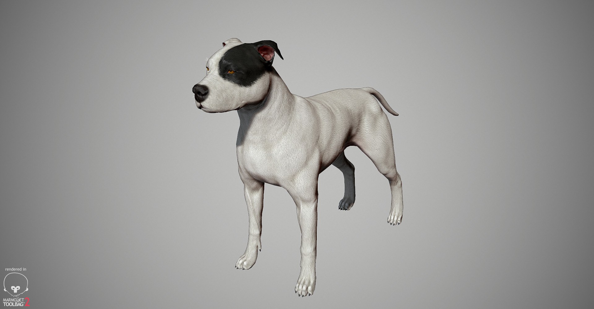 3ds guard dog pack https://p.turbosquid.com/ts-thumb/Ex/GFacbU/IWzrbtjl/pitbull_by_alexlashk_marmoset_20/jpg/1472646619/1920x1080/fit_q87/89c646c20e70f78b745a53bf936339be3abcab1b/pitbull_by_alexlashk_marmoset_20.jpg