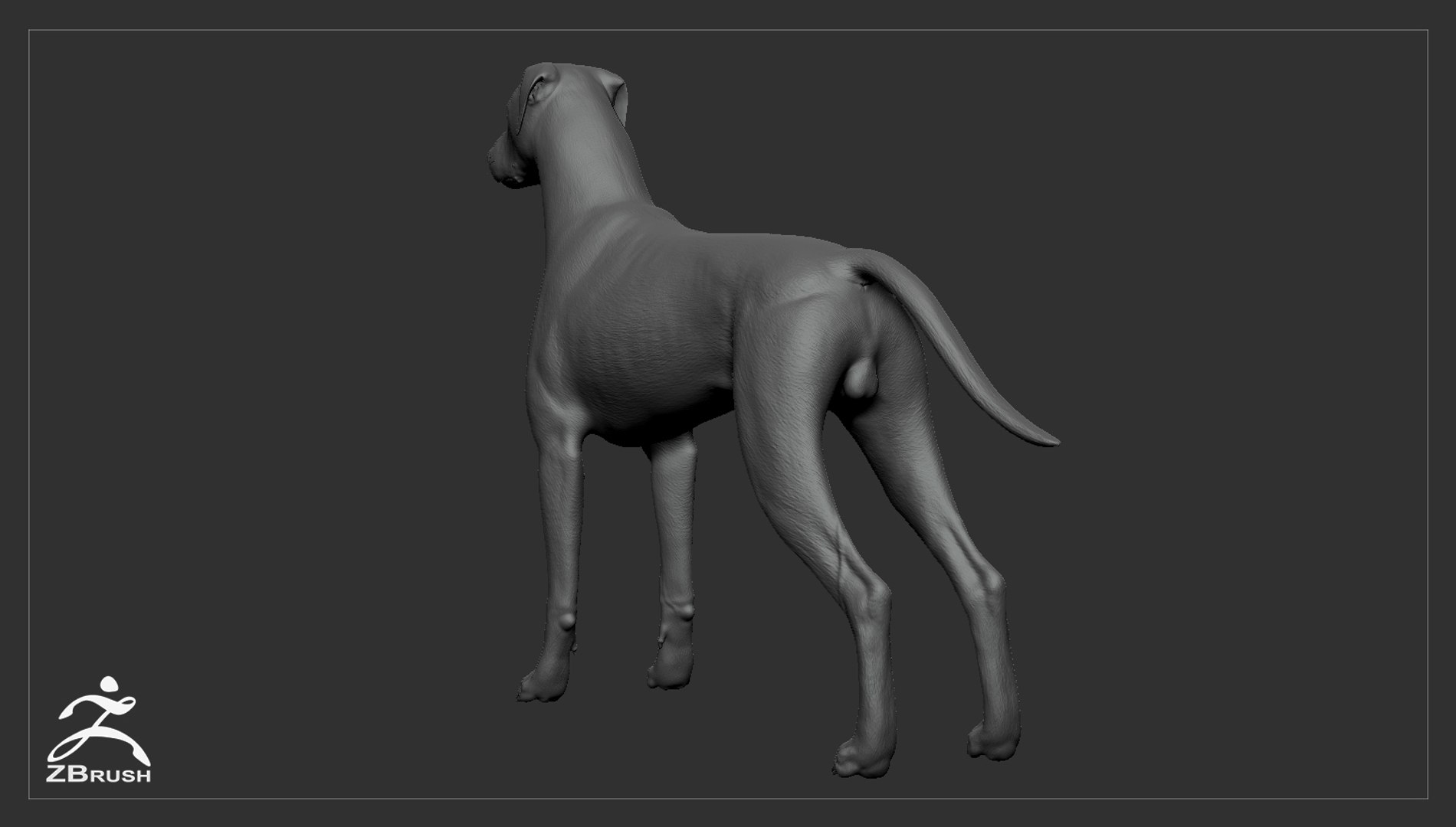 3ds guard dog pack https://p.turbosquid.com/ts-thumb/Ex/GFacbU/Ibkd82Dq/doberman_by_alexlashko_zbrush_05/jpg/1472654814/1920x1080/fit_q87/41175e5a4f861243ce32703a9fd20b1aec31e0eb/doberman_by_alexlashko_zbrush_05.jpg