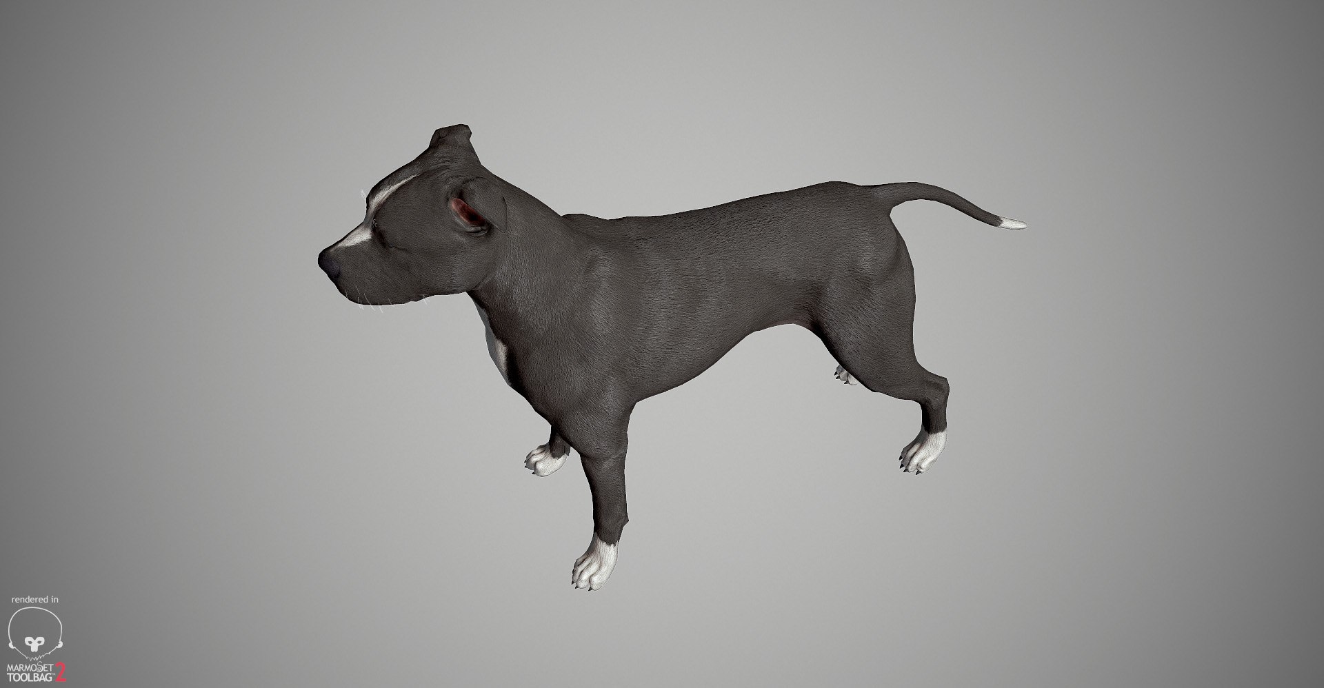 3ds guard dog pack https://p.turbosquid.com/ts-thumb/Ex/GFacbU/IyCfPRtt/pitbull_by_alexlashk_marmoset_19/jpg/1472646619/1920x1080/fit_q87/c94fd761e8f918baa47ca1060340a932aad3034c/pitbull_by_alexlashk_marmoset_19.jpg