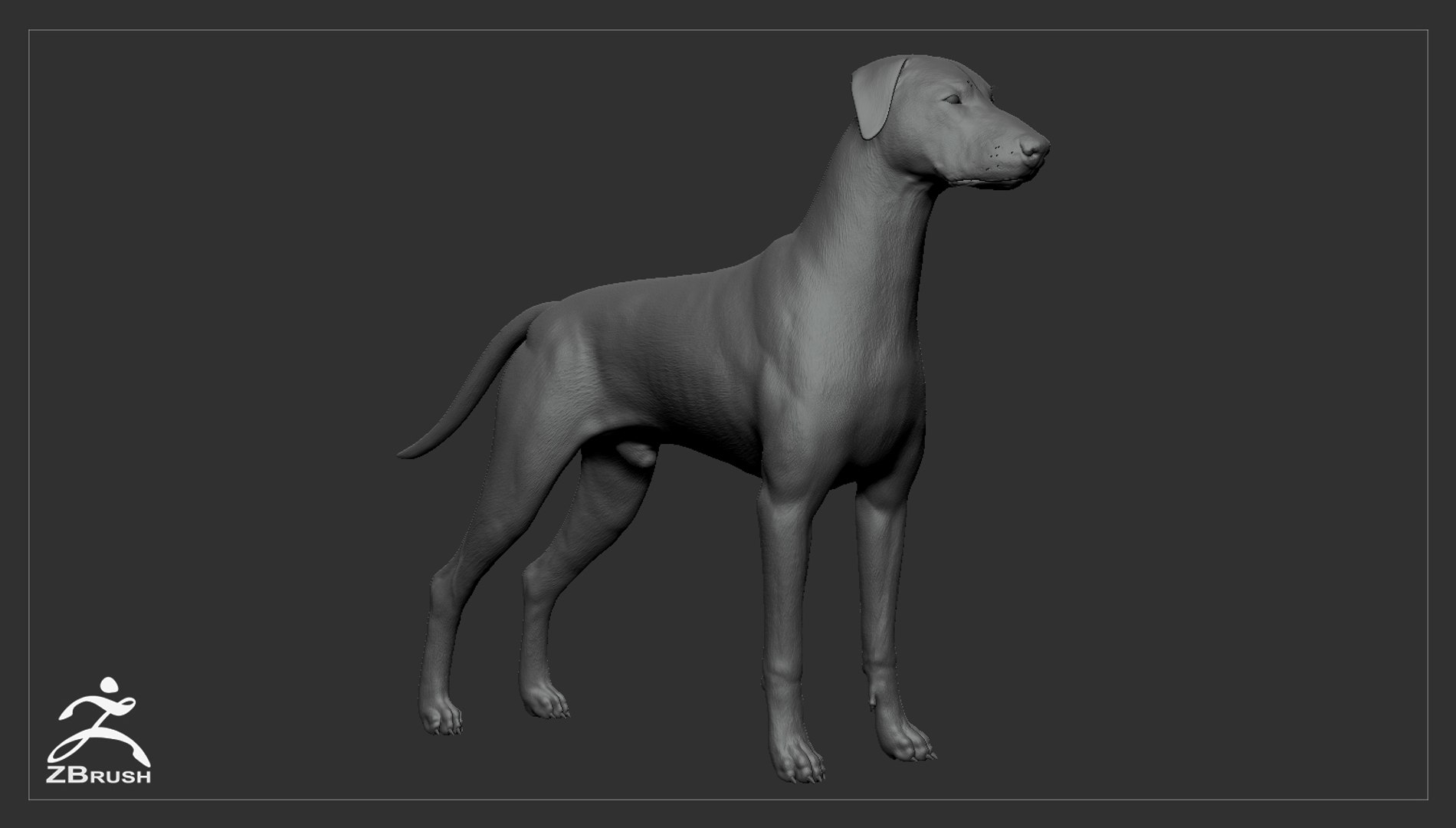 3ds guard dog pack https://p.turbosquid.com/ts-thumb/Ex/GFacbU/JHbqRFy3/doberman_by_alexlashko_zbrush_01/jpg/1472654814/1920x1080/fit_q87/0c071a13777b5677dbae3f20aac035453e267fdf/doberman_by_alexlashko_zbrush_01.jpg