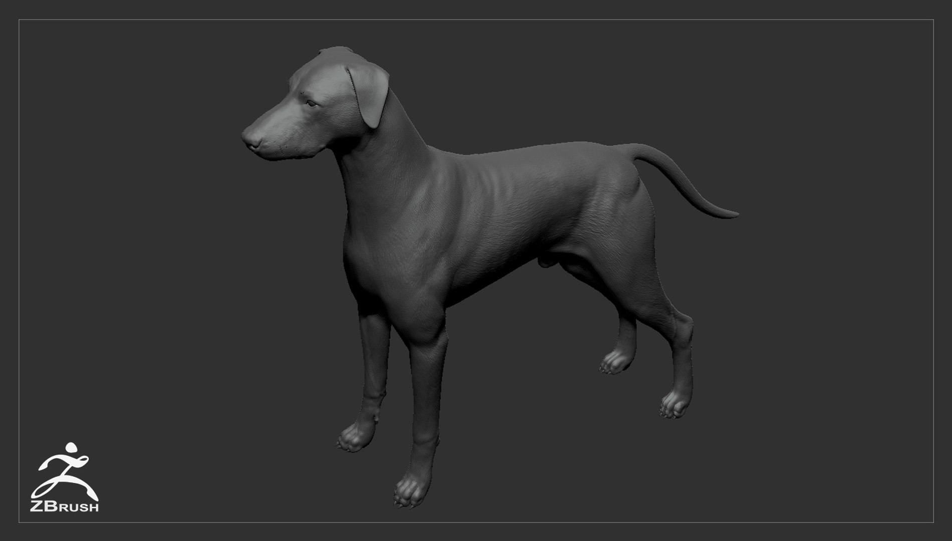 3ds guard dog pack https://p.turbosquid.com/ts-thumb/Ex/GFacbU/JMmrtRMx/doberman_by_alexlashko_zbrush_03/jpg/1472654814/1920x1080/fit_q87/d885c47228b6ba64873630a86e87ed541d328877/doberman_by_alexlashko_zbrush_03.jpg