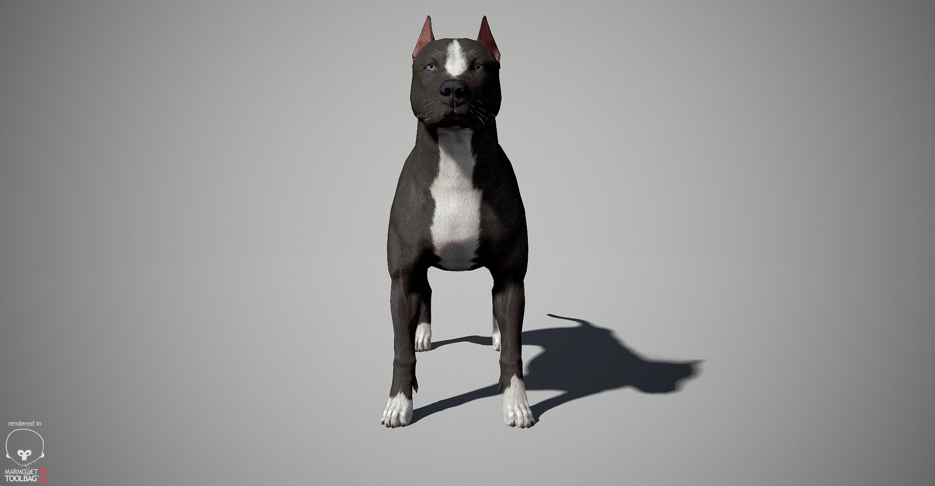 3ds guard dog pack https://p.turbosquid.com/ts-thumb/Ex/GFacbU/QvuA1IT1/pitbull_by_alexlashk_marmoset_05/jpg/1472646619/1920x1080/fit_q87/c0a97acad4c8835462070f3df1a2a15d01966a3e/pitbull_by_alexlashk_marmoset_05.jpg