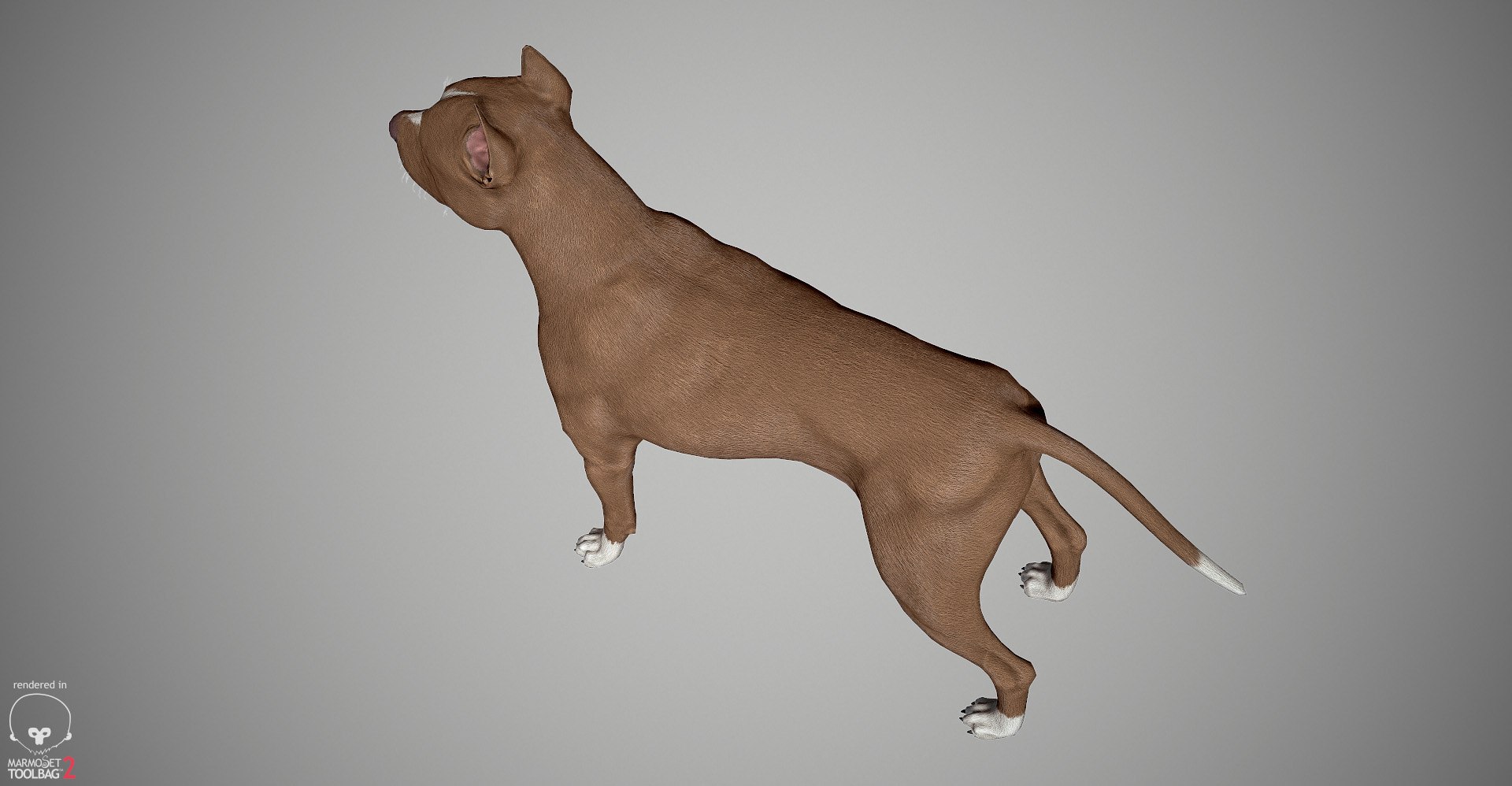 3ds guard dog pack https://p.turbosquid.com/ts-thumb/Ex/GFacbU/R8IwB6T9/pitbull_by_alexlashk_marmoset_27/jpg/1472646619/1920x1080/fit_q87/a8f911c67f0e25d1930c1d3b3c27fb455c8e4be4/pitbull_by_alexlashk_marmoset_27.jpg