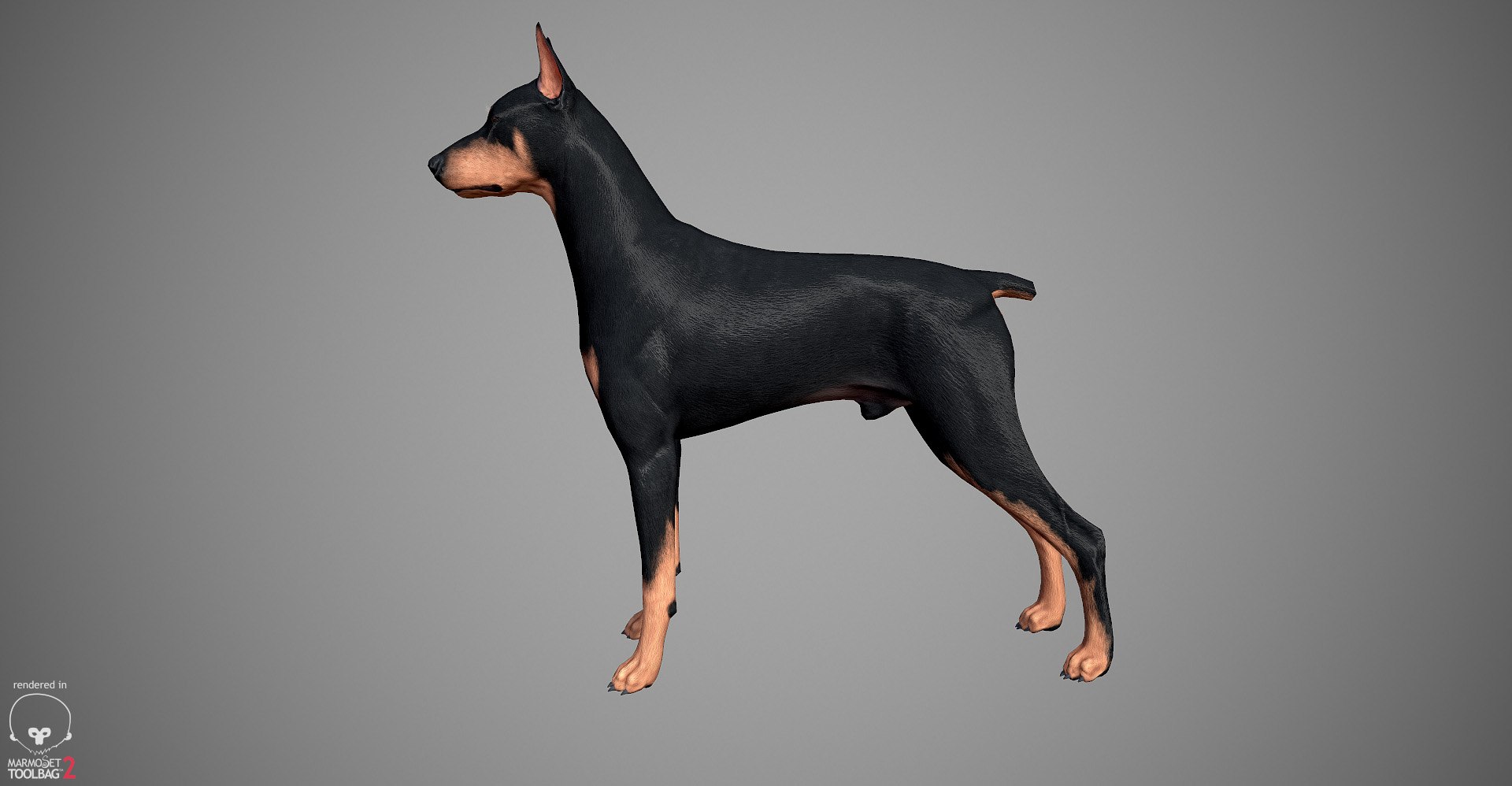 3ds guard dog pack https://p.turbosquid.com/ts-thumb/Ex/GFacbU/RdtvuKZ5/doberman_by_alexlashko_marmoset_05/jpg/1472654119/1920x1080/fit_q87/faa71bd484217a90a67d2311f8d2f26e9423c8d7/doberman_by_alexlashko_marmoset_05.jpg