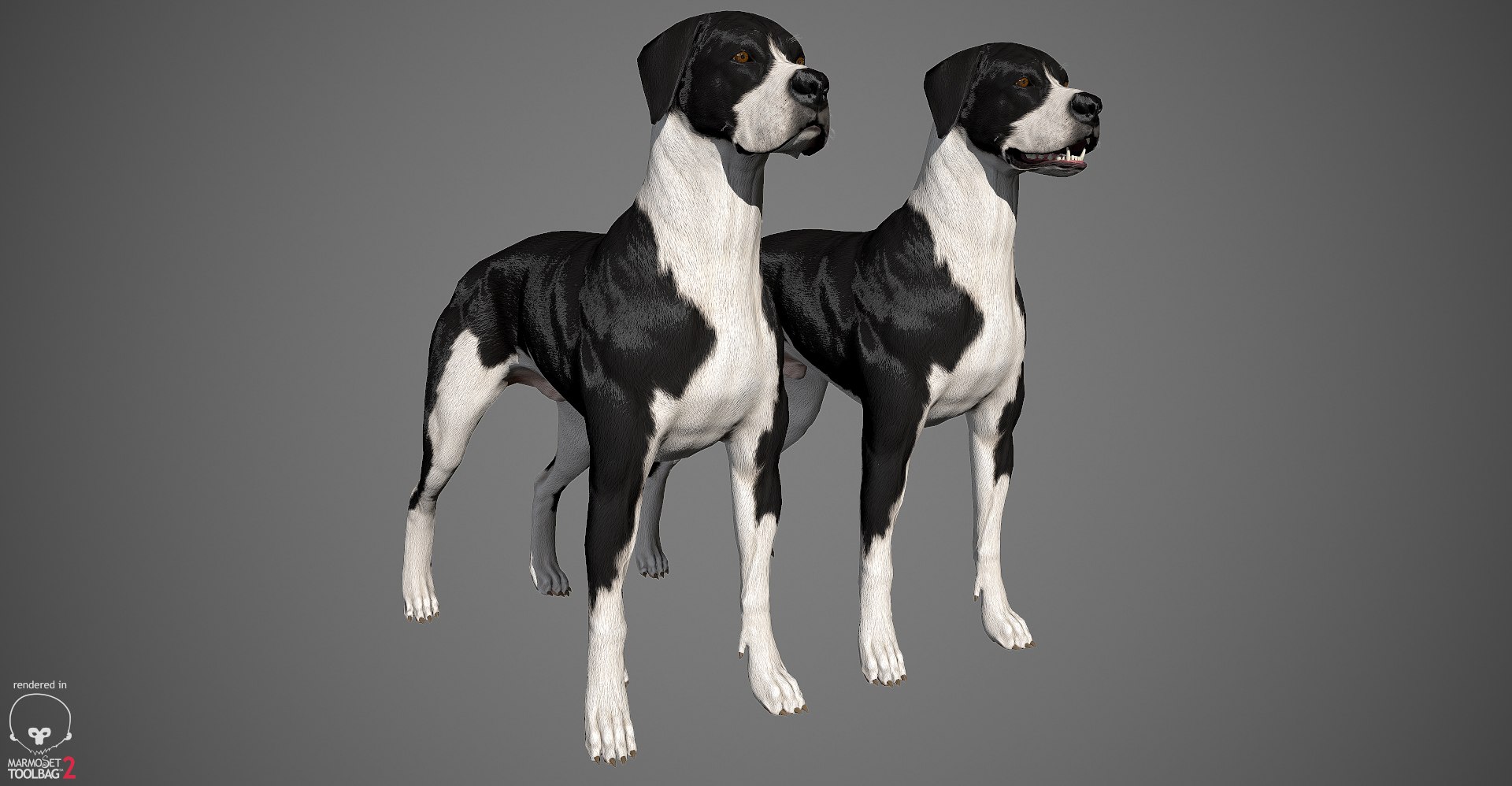 3ds guard dog pack https://p.turbosquid.com/ts-thumb/Ex/GFacbU/SrGxjcaP/greatdane_marmoset_misc_02/jpg/1472653258/1920x1080/fit_q87/3af8f05d3130f3886dc023f4535920a5c8a30155/greatdane_marmoset_misc_02.jpg