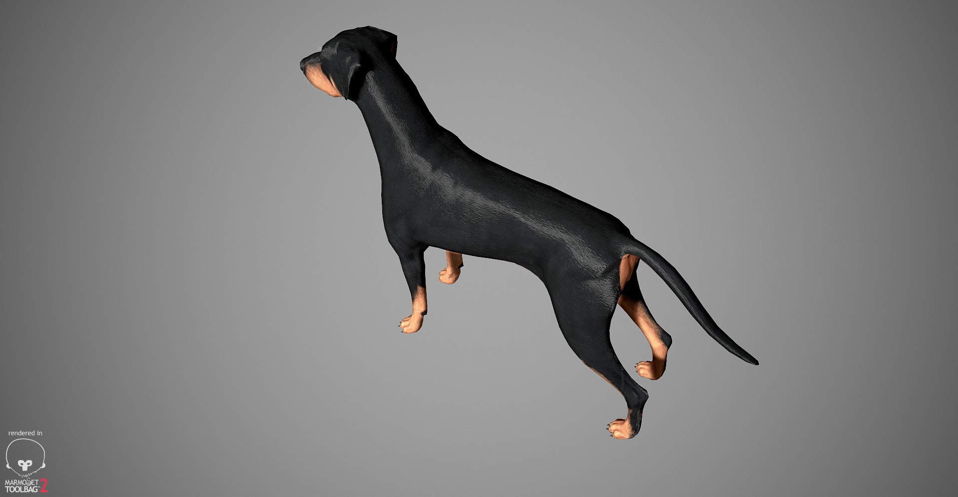 3ds guard dog pack https://p.turbosquid.com/ts-thumb/Ex/GFacbU/Tj8VowGR/doberman_by_alexlashko_marmoset_22/jpg/1472654119/1920x1080/fit_q87/cbdea662297b1f8fb918dcfe64199b653eebba51/doberman_by_alexlashko_marmoset_22.jpg