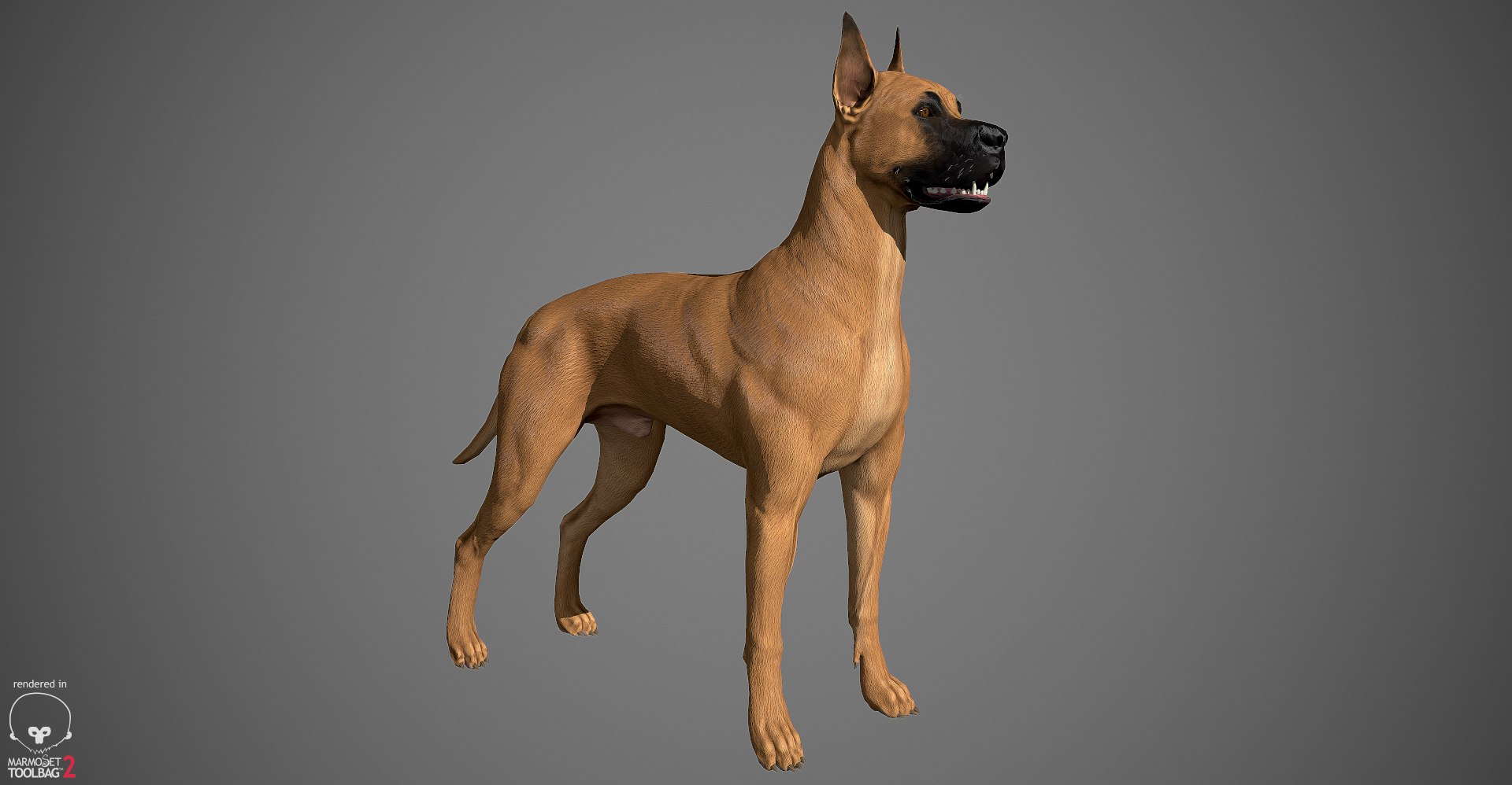 3ds guard dog pack https://p.turbosquid.com/ts-thumb/Ex/GFacbU/VNDkW85A/greatdane_marmoset_03/jpg/1472653257/1920x1080/fit_q87/ff59b8b2c4575162a61e61ee0323307076b697ec/greatdane_marmoset_03.jpg