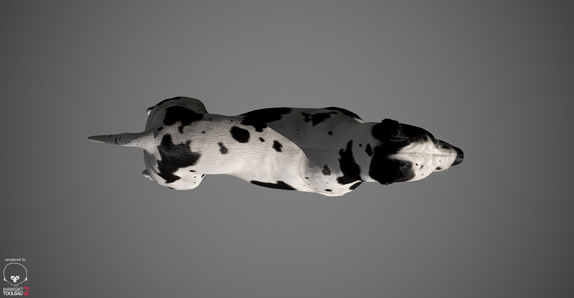 3ds guard dog pack https://p.turbosquid.com/ts-thumb/Ex/GFacbU/WgCUJHcQ/greatdane_marmoset_harl_09/jpg/1472653258/1920x1080/fit_q87/8528b57217aebb7591f4328ed5baf01b9d750192/greatdane_marmoset_harl_09.jpg