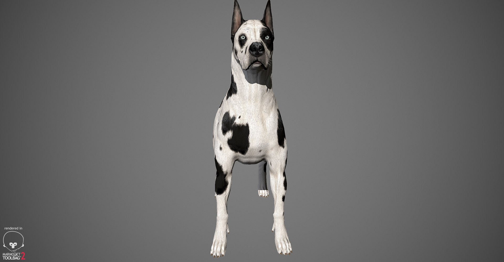 3ds guard dog pack https://p.turbosquid.com/ts-thumb/Ex/GFacbU/WkOD3ce5/greatdane_marmoset_harl_07/jpg/1472653258/1920x1080/fit_q87/2f7c40749ecb127825b969683797168eabbecca0/greatdane_marmoset_harl_07.jpg