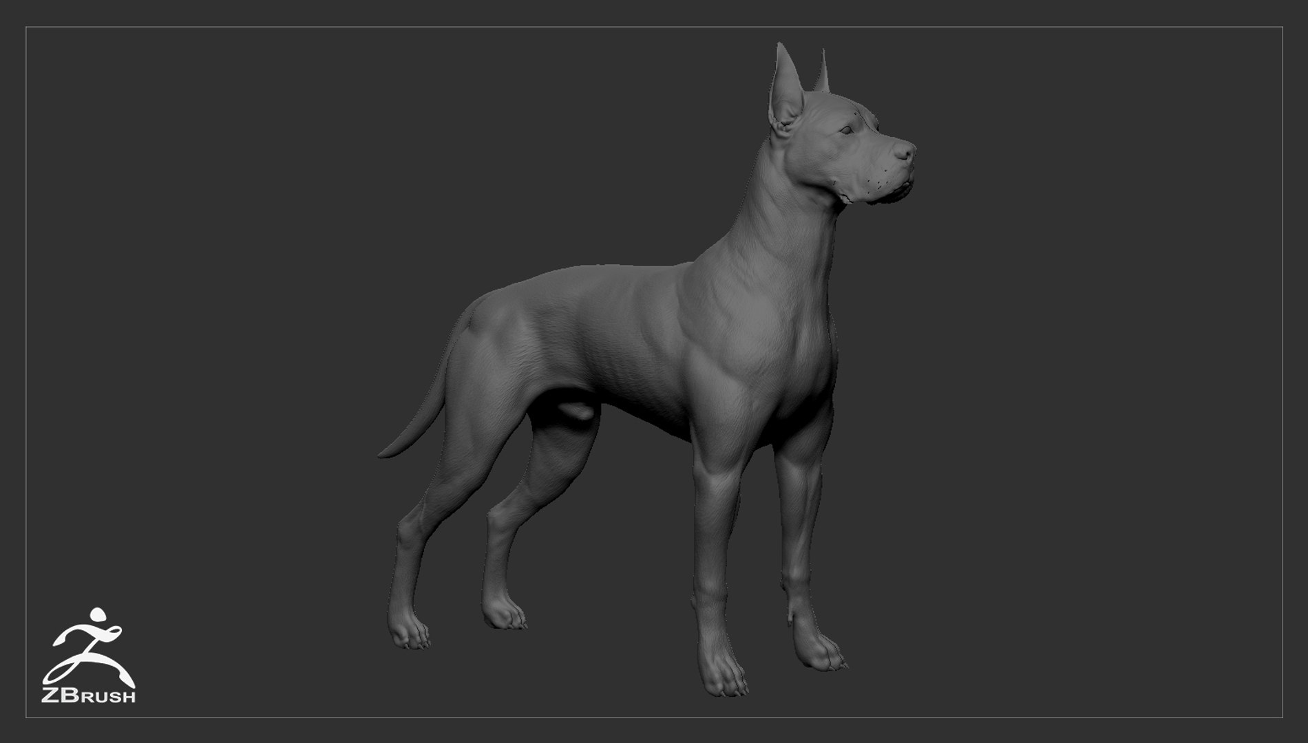 3ds guard dog pack https://p.turbosquid.com/ts-thumb/Ex/GFacbU/Wle4aiwc/greatdane_zbrush_01/jpg/1472653568/1920x1080/fit_q87/63dd6ccb5606234325d3da9bde466e8377118e65/greatdane_zbrush_01.jpg