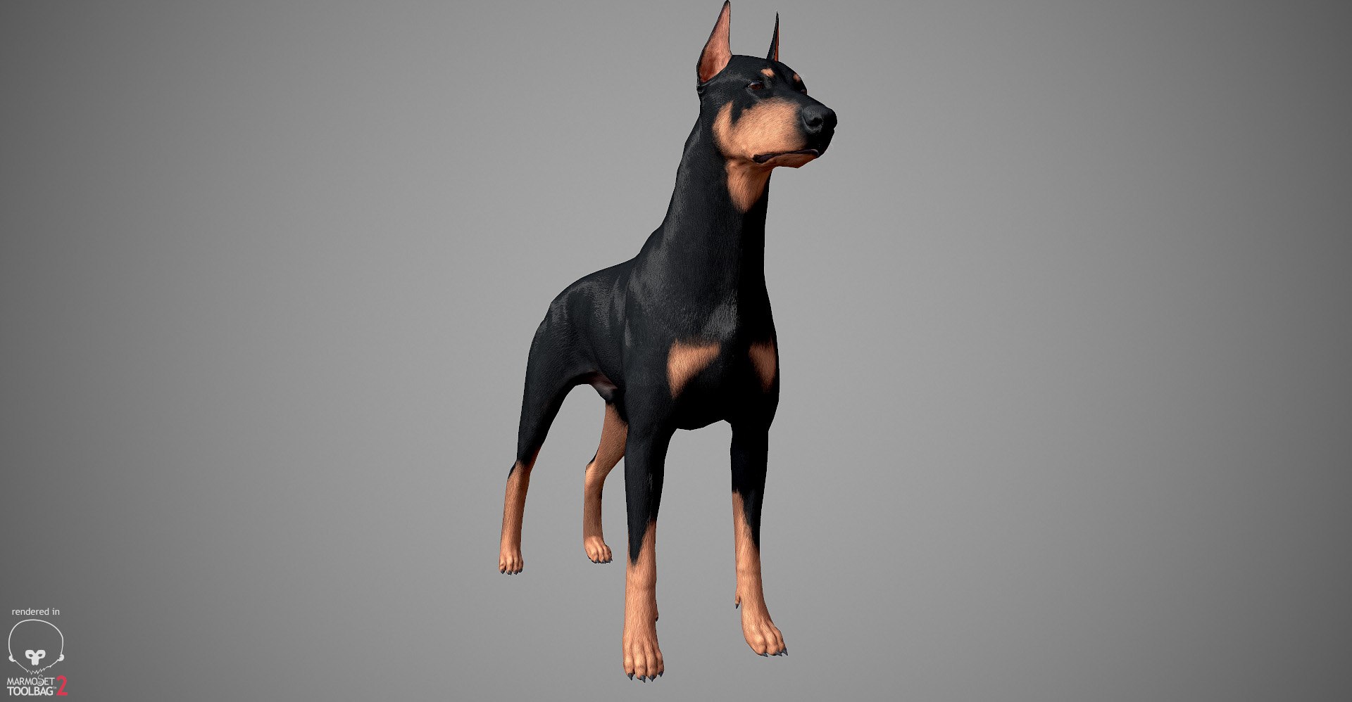 3ds guard dog pack https://p.turbosquid.com/ts-thumb/Ex/GFacbU/Ws31EZtp/doberman_by_alexlashko_marmoset_02/jpg/1472654119/1920x1080/fit_q87/f97b8f8afcb3d590b7680403e0e0f90596cfbc9e/doberman_by_alexlashko_marmoset_02.jpg