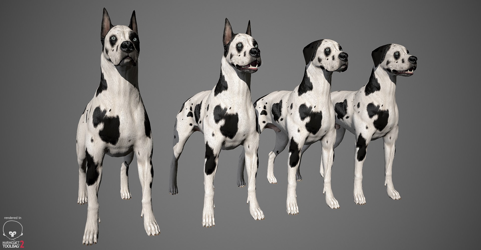 3ds guard dog pack https://p.turbosquid.com/ts-thumb/Ex/GFacbU/X3CkdPsR/greatdane_marmoset_harl_18/jpg/1472653258/1920x1080/fit_q87/2e57b63b960b2a7bb1d55d87014692a48f691dc9/greatdane_marmoset_harl_18.jpg