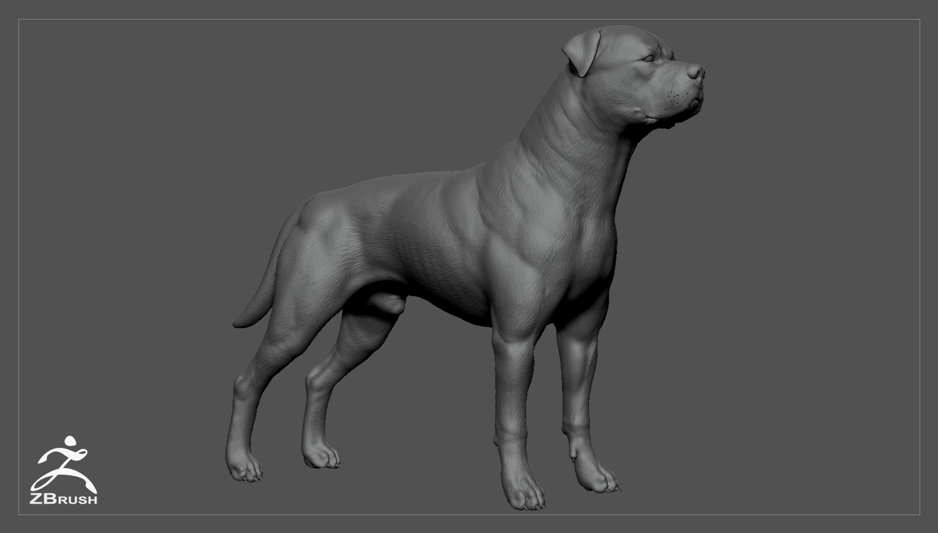 3ds guard dog pack https://p.turbosquid.com/ts-thumb/Ex/GFacbU/XP616Apf/rottweiler_zbrush_01/jpg/1472651285/1920x1080/fit_q87/1d6043e8783c29fa7c15c69e29efa165d1b72c49/rottweiler_zbrush_01.jpg