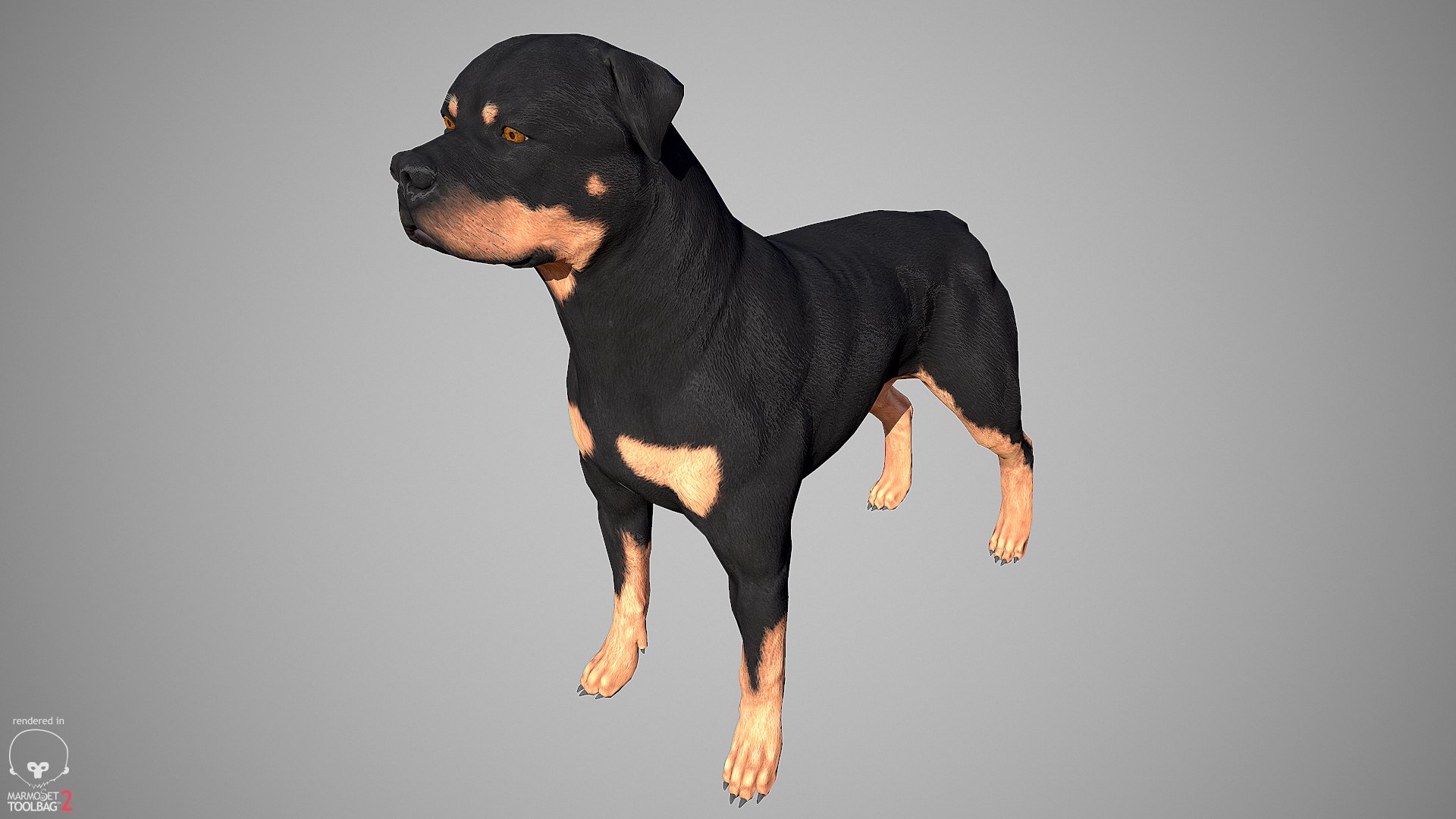 3ds guard dog pack https://p.turbosquid.com/ts-thumb/Ex/GFacbU/ZCaPxb31/rottweiler_by_alexlashko_marmoset_06/png/1472649708/1920x1080/fit_q87/bc5db4aa8d88ec47d1696e0586a252360a1ce608/rottweiler_by_alexlashko_marmoset_06.jpg