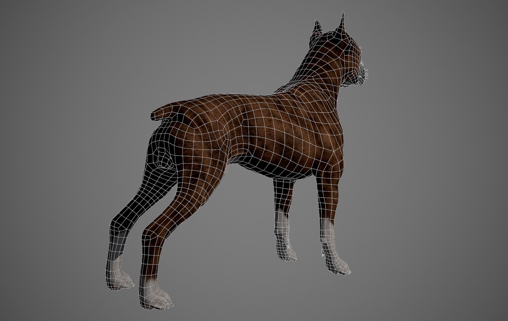 3ds guard dog pack https://p.turbosquid.com/ts-thumb/Ex/GFacbU/bYQgYLH9/boxer_by_alexlashko_wires_04/jpg/1472652793/1920x1080/fit_q87/b18bb3f1cc1d9e69bd0e34740c9b19cc936af468/boxer_by_alexlashko_wires_04.jpg