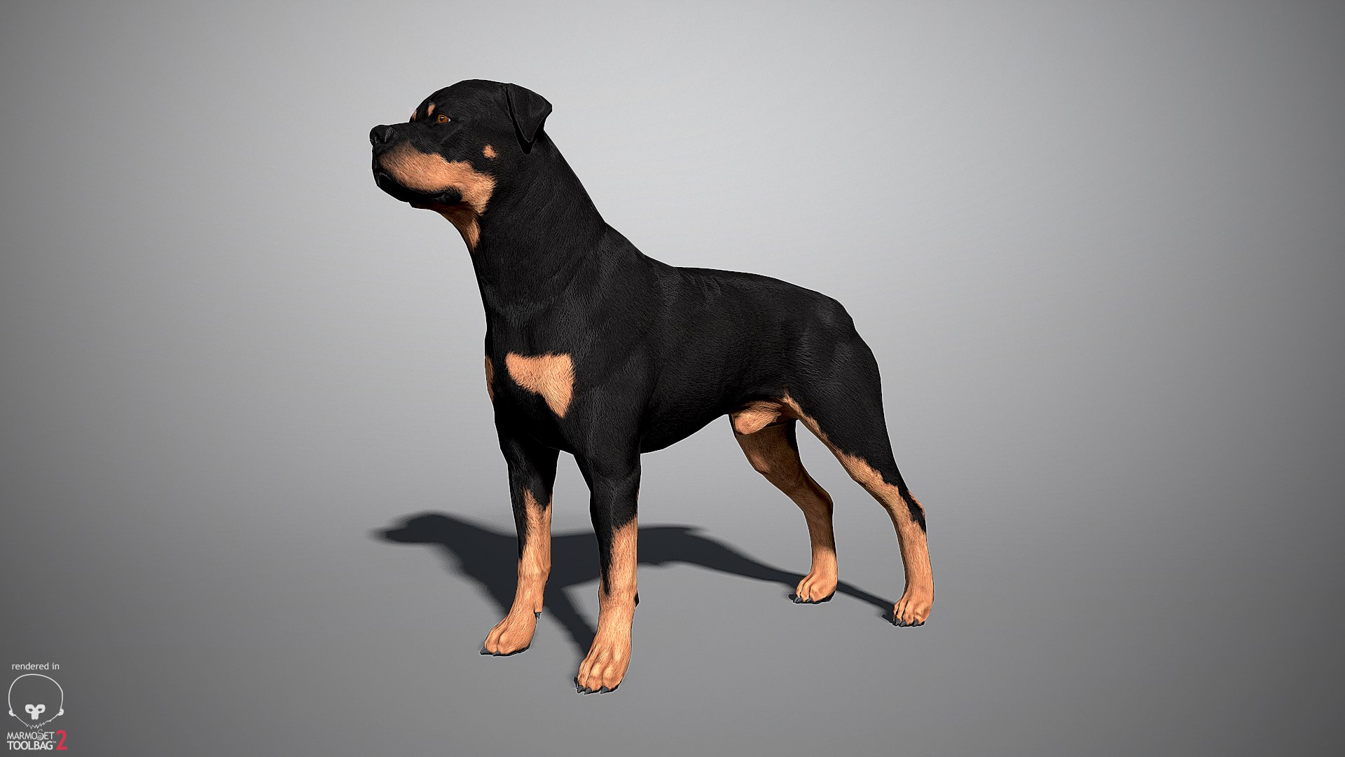 3ds guard dog pack https://p.turbosquid.com/ts-thumb/Ex/GFacbU/dkxBXw0E/rottweiler_by_alexlashko_000/jpg/1472649708/1920x1080/fit_q87/385a36181880816c9c9a7c5b7b52e1ad4eb253bd/rottweiler_by_alexlashko_000.jpg