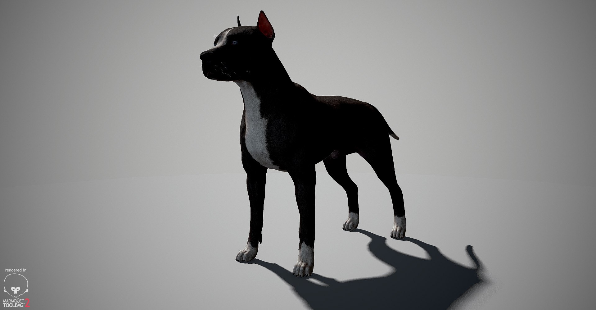 3ds guard dog pack https://p.turbosquid.com/ts-thumb/Ex/GFacbU/eWTwpWG5/pitbull_by_alexlashk_marmoset_06/jpg/1472646619/1920x1080/fit_q87/3ed4242382736384ccd5aa6d11fb942bec149530/pitbull_by_alexlashk_marmoset_06.jpg