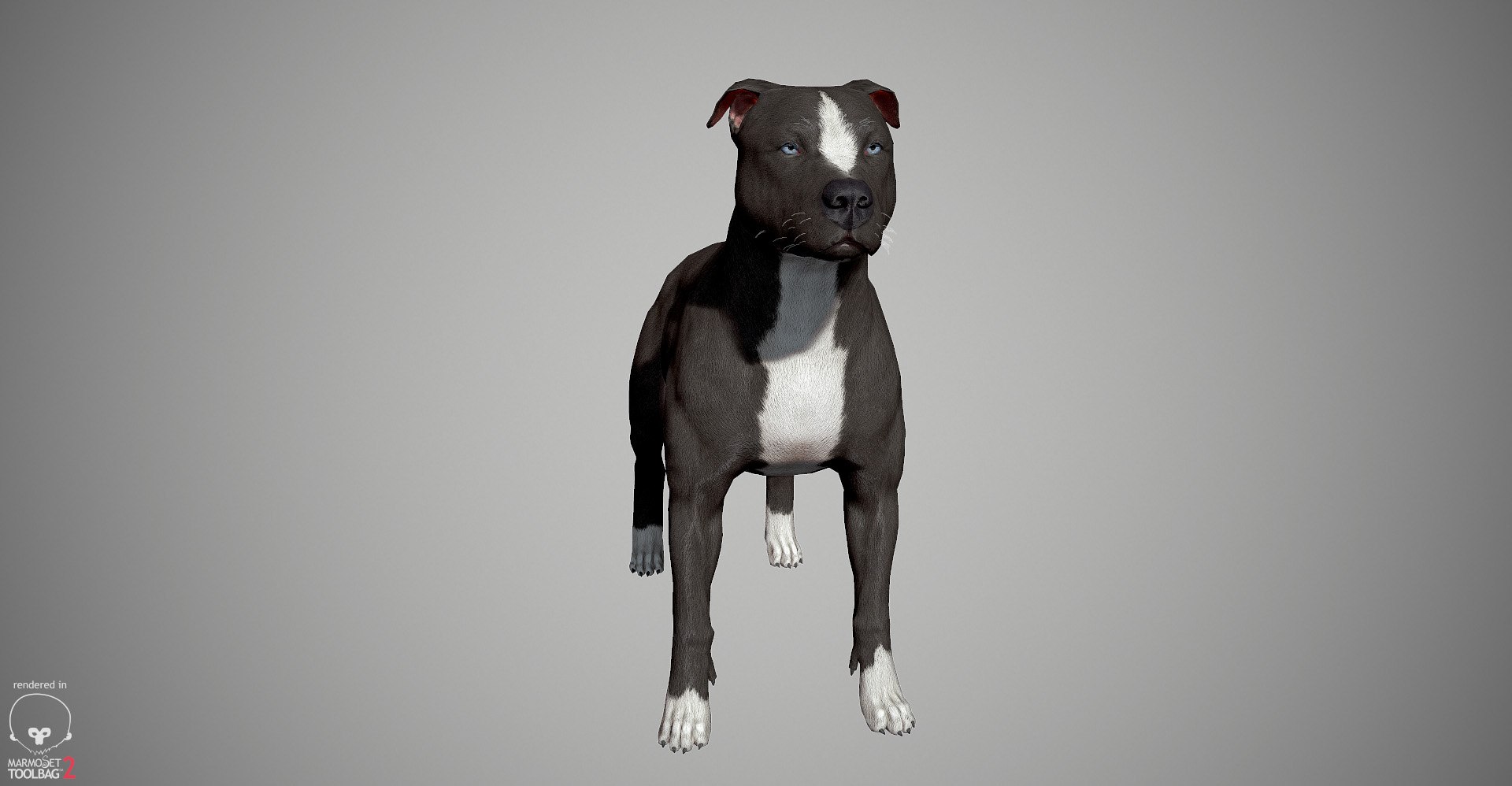 3ds guard dog pack https://p.turbosquid.com/ts-thumb/Ex/GFacbU/ecx1GwzR/pitbull_by_alexlashk_marmoset_17/jpg/1472646619/1920x1080/fit_q87/8e246d9b0c0bdcc518c10b4952901a11109f9a1a/pitbull_by_alexlashk_marmoset_17.jpg