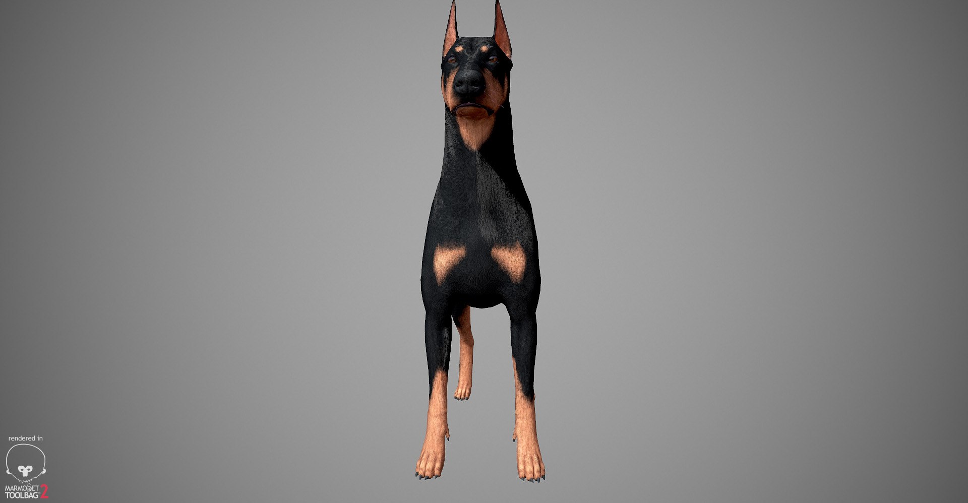 3ds guard dog pack https://p.turbosquid.com/ts-thumb/Ex/GFacbU/fco7ybXn/doberman_by_alexlashko_marmoset_03/jpg/1472654119/1920x1080/fit_q87/6762ba3dcde30128227b5131b17edce213584bac/doberman_by_alexlashko_marmoset_03.jpg