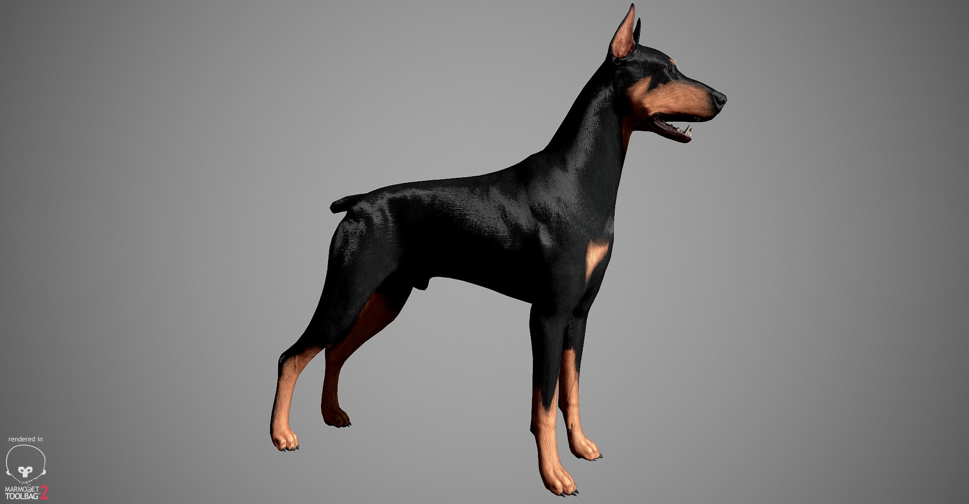 3ds guard dog pack https://p.turbosquid.com/ts-thumb/Ex/GFacbU/fs7VXlL9/doberman_by_alexlashko_marmoset_27/jpg/1472654119/1920x1080/fit_q87/a905df31c275e8af26f12a582c973604d73132e1/doberman_by_alexlashko_marmoset_27.jpg