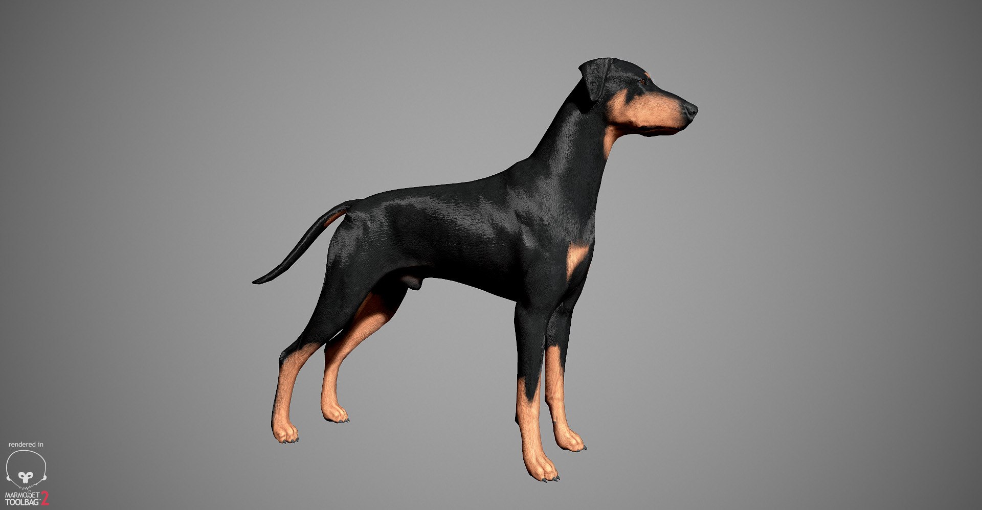 3ds guard dog pack https://p.turbosquid.com/ts-thumb/Ex/GFacbU/fy08YhAw/doberman_by_alexlashko_marmoset_17/jpg/1472654119/1920x1080/fit_q87/25c6cbf7d288819d363ae213f7d546358018f64e/doberman_by_alexlashko_marmoset_17.jpg