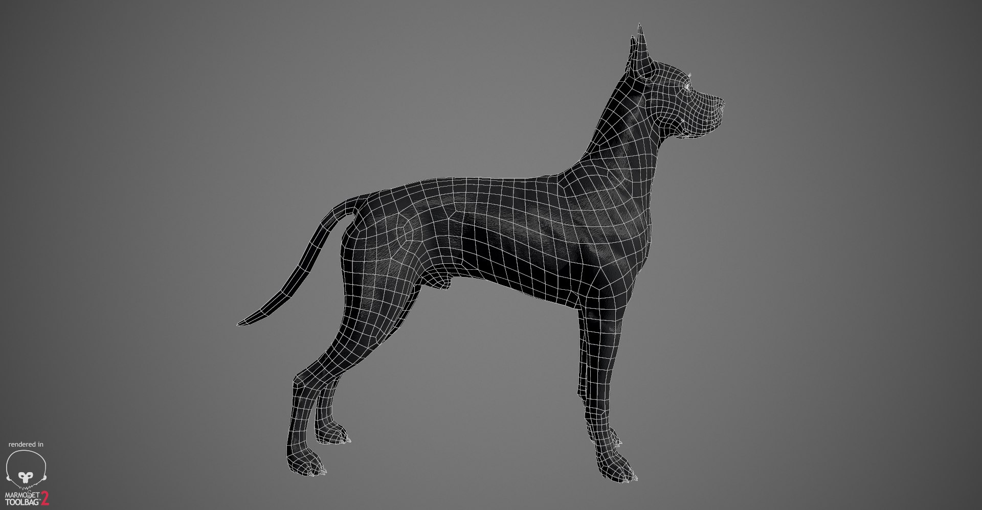 3ds guard dog pack https://p.turbosquid.com/ts-thumb/Ex/GFacbU/gIuvB3OB/greatdane_wireframe_02/jpg/1472653444/1920x1080/fit_q87/1c4e4538cd2a1f42ea1c6217fc861fbcbf029b3f/greatdane_wireframe_02.jpg