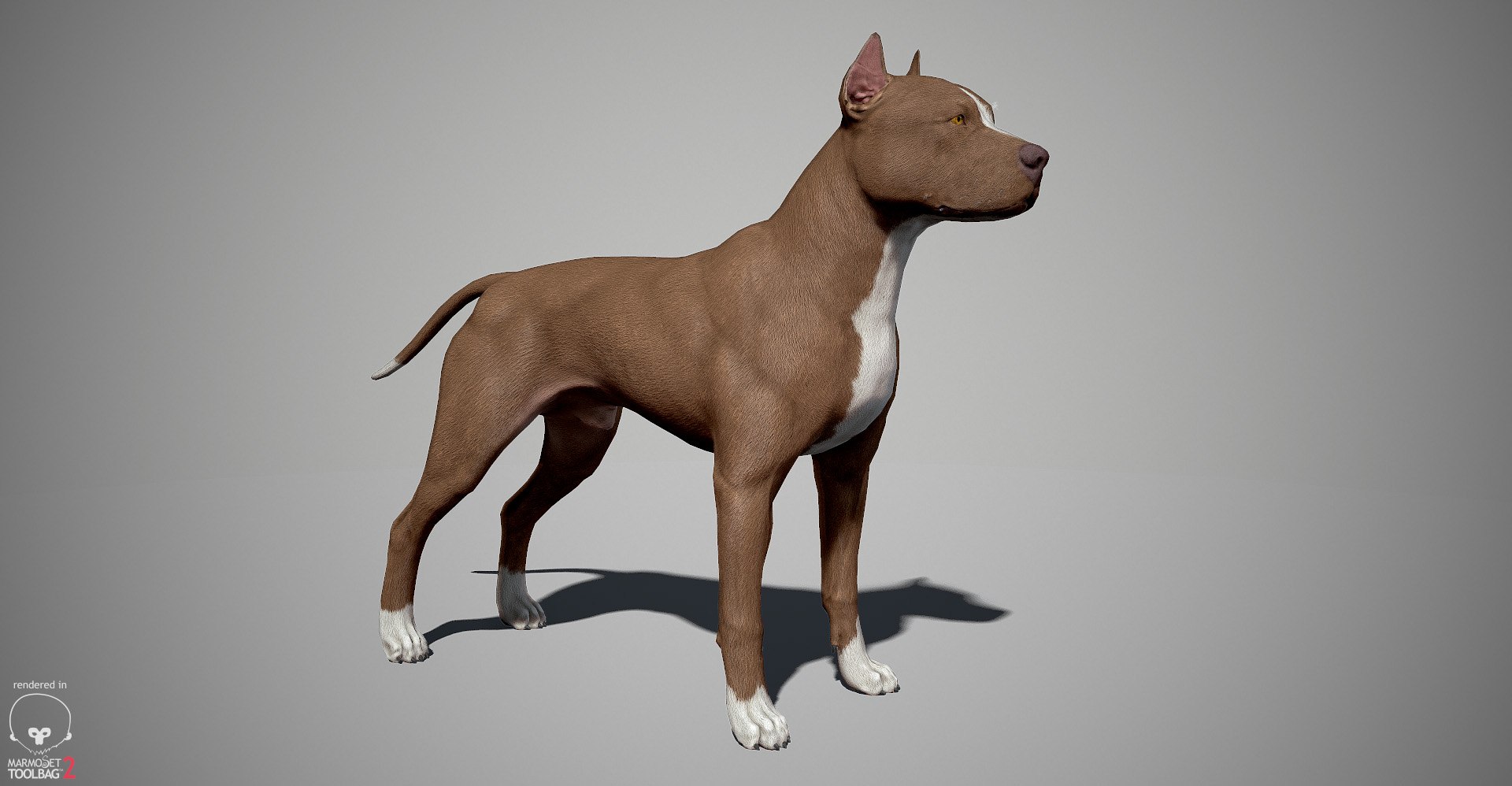 3ds guard dog pack https://p.turbosquid.com/ts-thumb/Ex/GFacbU/j4JM9SoS/pitbull_by_alexlashk_marmoset_02/jpg/1472646618/1920x1080/fit_q87/0679d2ece09339e667ad454303bebe72adccaffa/pitbull_by_alexlashk_marmoset_02.jpg
