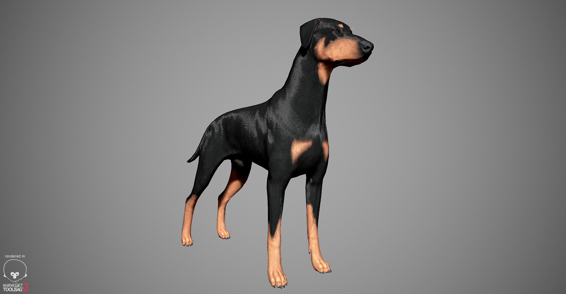 3ds guard dog pack https://p.turbosquid.com/ts-thumb/Ex/GFacbU/k3tAMrkA/doberman_by_alexlashko_marmoset_18/jpg/1472654119/1920x1080/fit_q87/8eba201efb9d0af693a1abf2fa374e0100c9417b/doberman_by_alexlashko_marmoset_18.jpg
