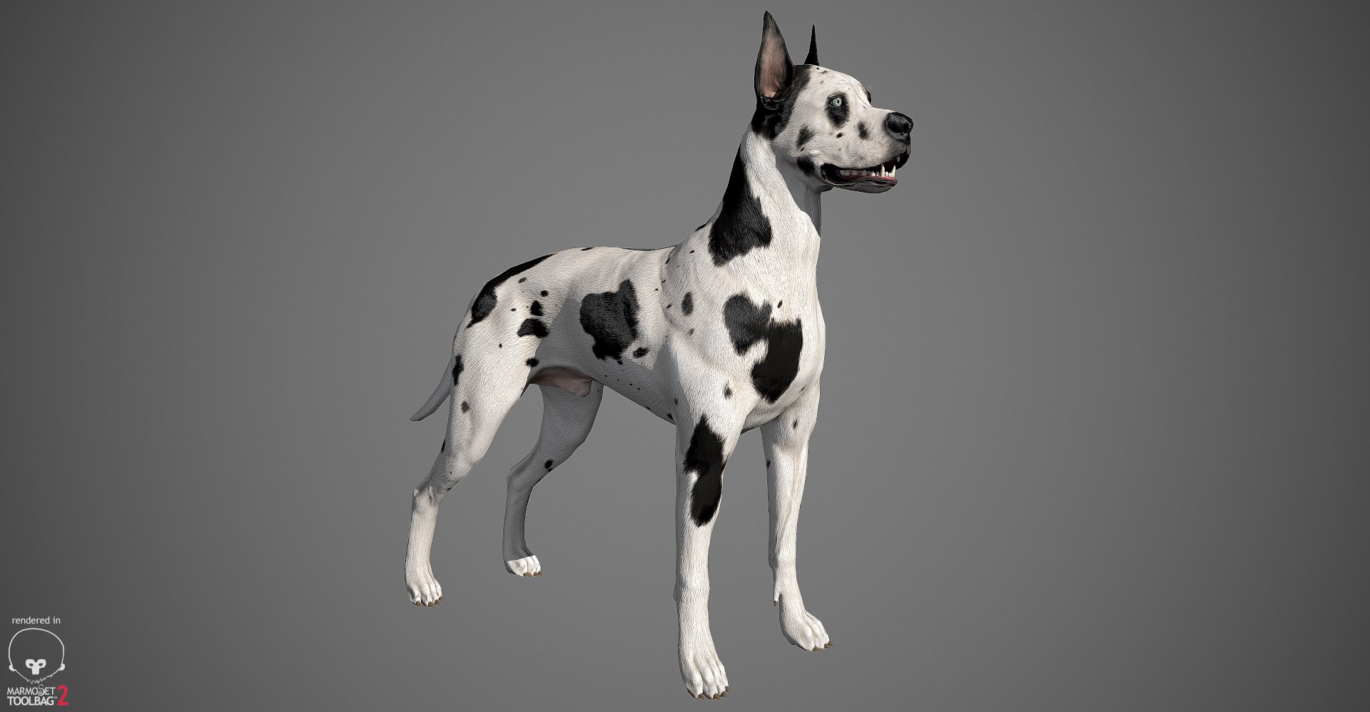3ds guard dog pack https://p.turbosquid.com/ts-thumb/Ex/GFacbU/kBmoGuMY/greatdane_marmoset_01/jpg/1472653257/1920x1080/fit_q87/feec49efc1a0f0bde60010c4f8ef9c675dfc3236/greatdane_marmoset_01.jpg