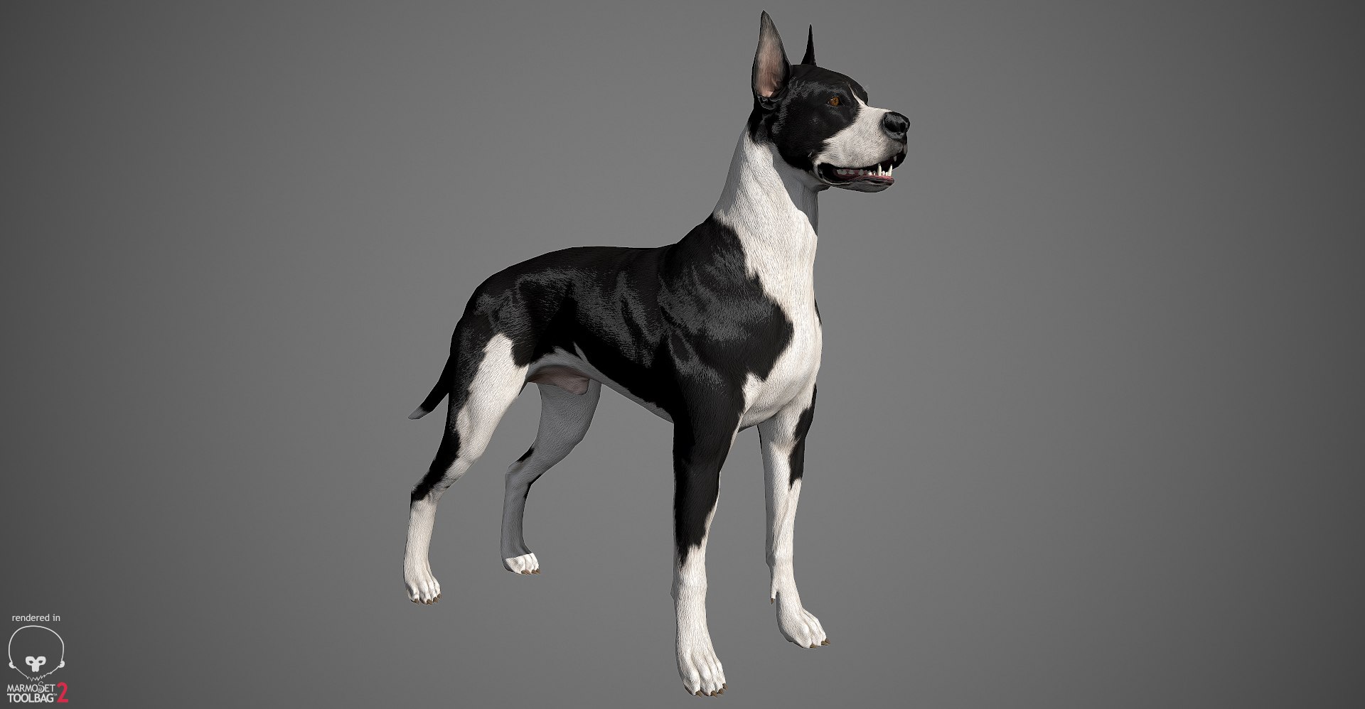 3ds guard dog pack https://p.turbosquid.com/ts-thumb/Ex/GFacbU/l3hYNOcF/greatdane_marmoset_02/jpg/1472653257/1920x1080/fit_q87/1f5ff0e0c56f2095870d16ea878f24aff52987d5/greatdane_marmoset_02.jpg