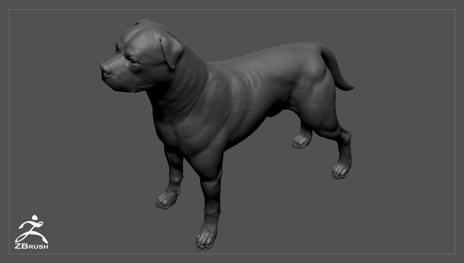 3ds guard dog pack https://p.turbosquid.com/ts-thumb/Ex/GFacbU/mbc3wZfo/rottweiler_zbrush_03/jpg/1472651285/1920x1080/fit_q87/c7b7a43972367450302b8238cf8ffb85cc61960d/rottweiler_zbrush_03.jpg