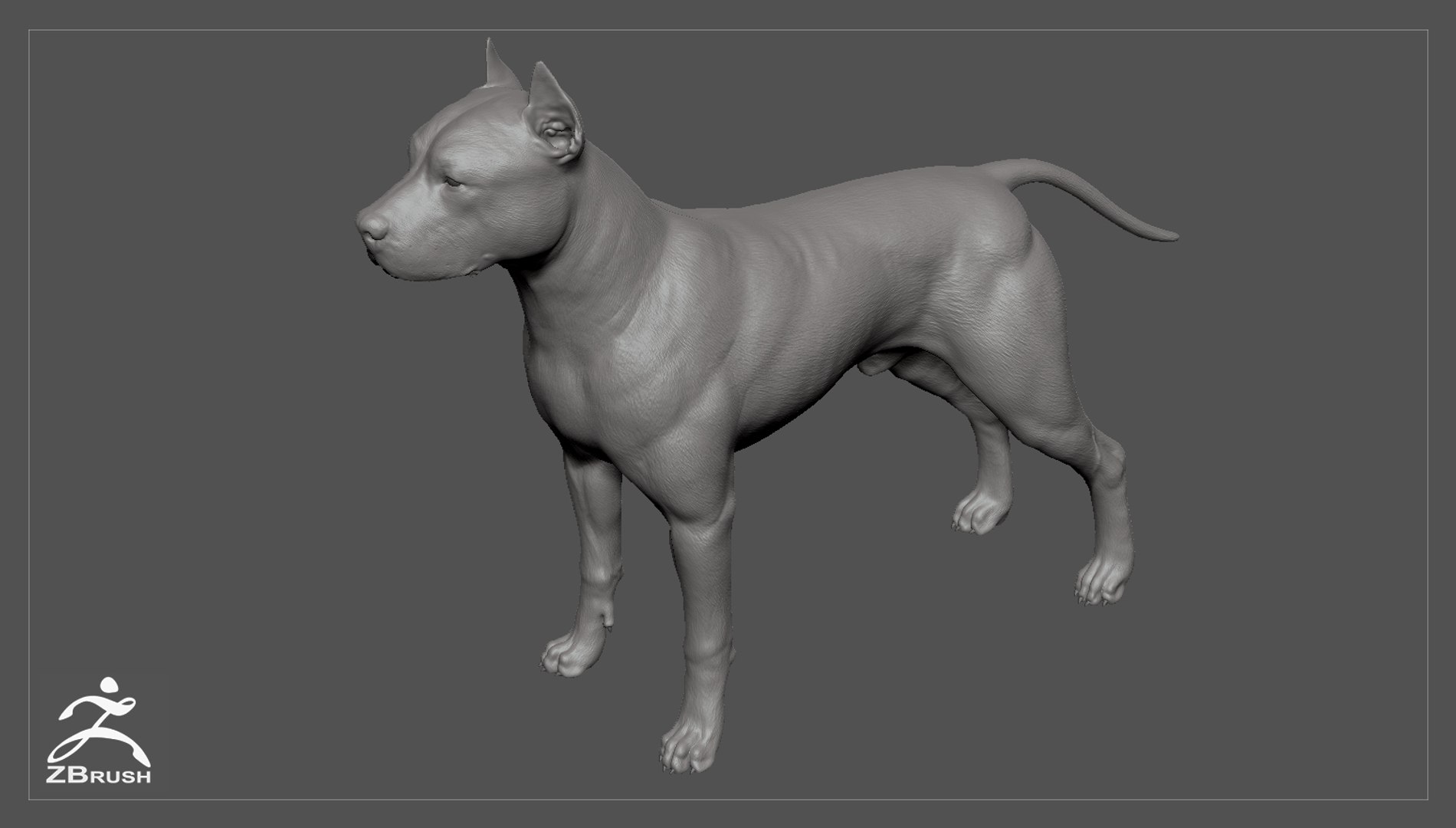 3ds guard dog pack https://p.turbosquid.com/ts-thumb/Ex/GFacbU/mkgHUxt0/pitbull_by_alexlashko_zbrush_03/jpg/1472648064/1920x1080/fit_q87/0ec8cb6f0cb0e9c79811edfa4794826f0c1923a5/pitbull_by_alexlashko_zbrush_03.jpg