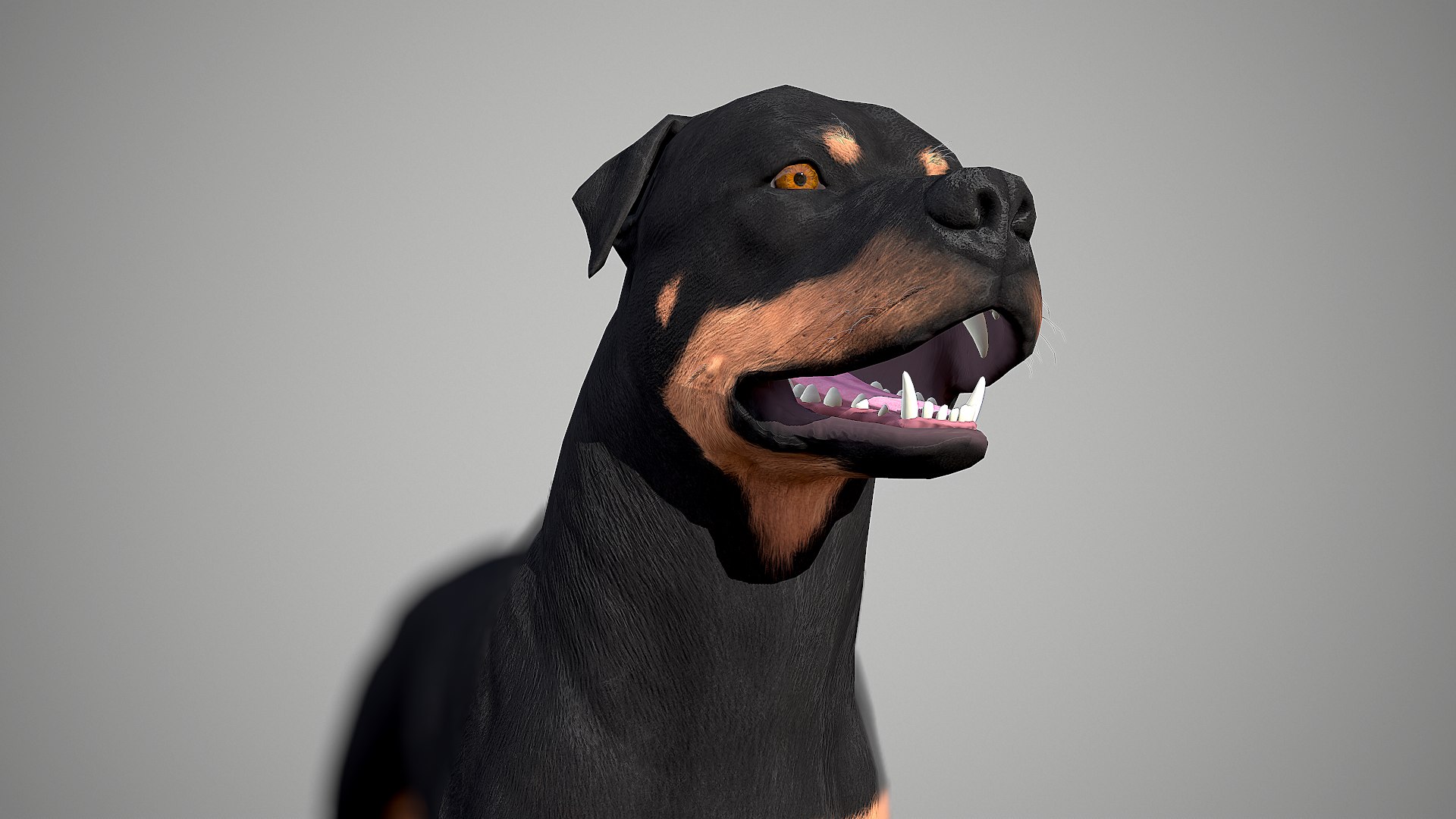 3ds guard dog pack https://p.turbosquid.com/ts-thumb/Ex/GFacbU/nCt0Wbs5/rottweiler_by_alexlashko_marmoset_14/png/1472649709/1920x1080/fit_q87/80065f23982ce353d45680a2a10241dac4768373/rottweiler_by_alexlashko_marmoset_14.jpg