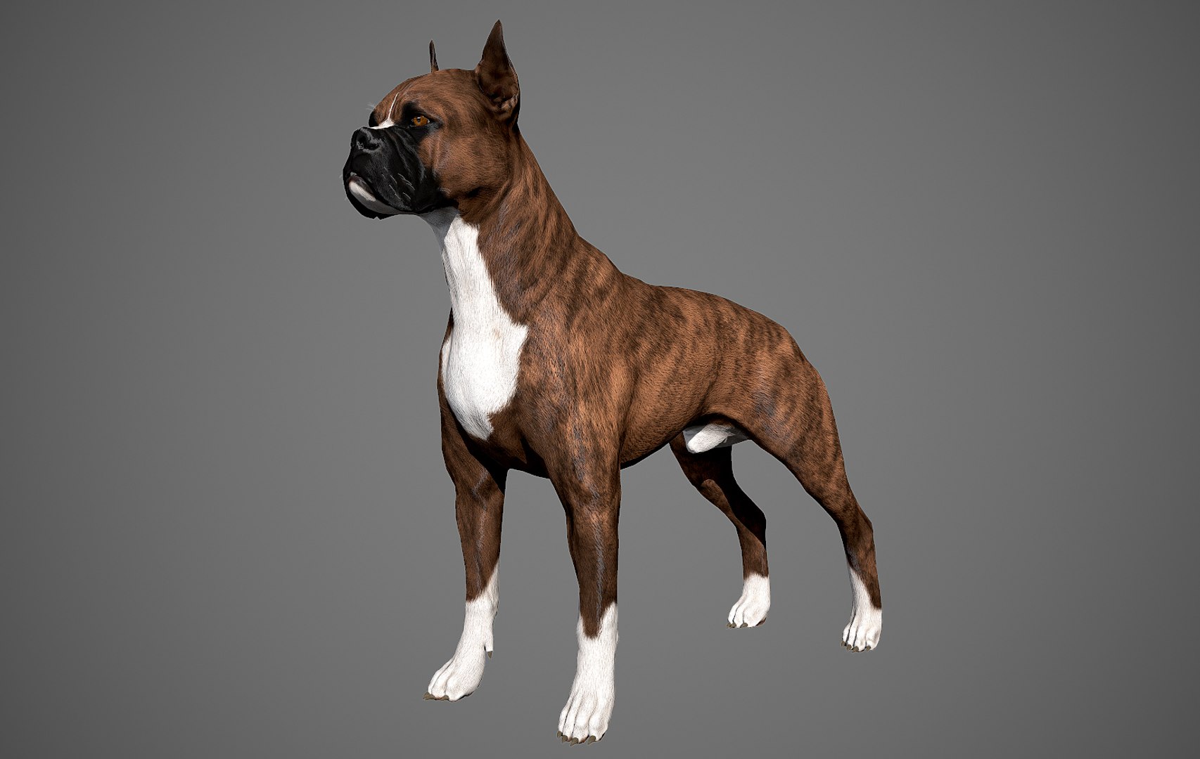 3ds guard dog pack https://p.turbosquid.com/ts-thumb/Ex/GFacbU/px36VvQw/boxer_by_alexlashko_preview_03/jpg/1472652138/1920x1080/fit_q87/ef464186ea1376f7144800fd04d18e7c1b9f5b46/boxer_by_alexlashko_preview_03.jpg