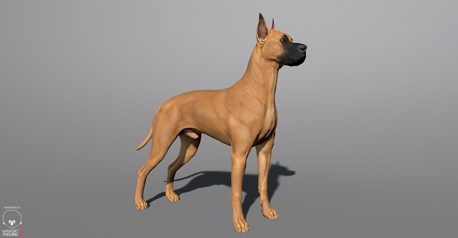 3ds guard dog pack https://p.turbosquid.com/ts-thumb/Ex/GFacbU/r9xEx8RQ/greatdane_marmoset_06/jpg/1472653257/1920x1080/fit_q87/e1b93c8d18e245acf3140841f2fdfde26a5a9d9e/greatdane_marmoset_06.jpg