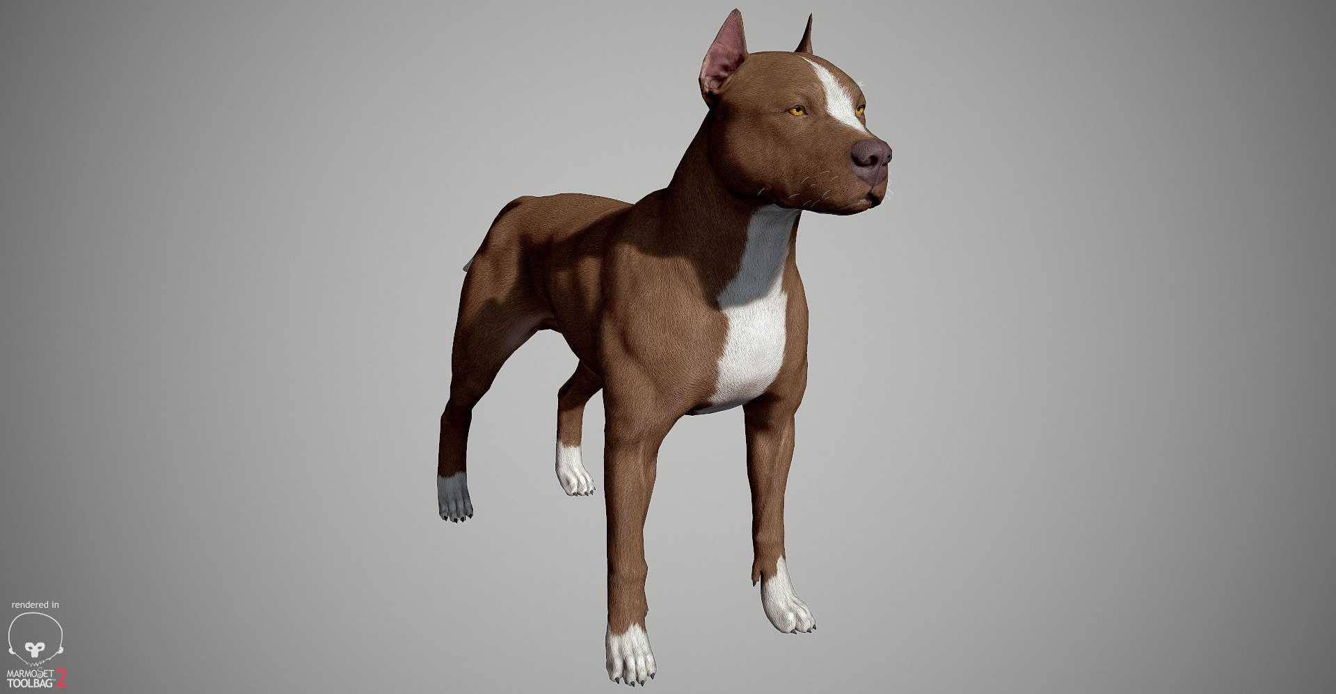 3ds guard dog pack https://p.turbosquid.com/ts-thumb/Ex/GFacbU/rMSHl2CS/pitbull_by_alexlashk_marmoset_24/jpg/1472646619/1920x1080/fit_q87/858c552588fdb28c1e26b54b950a94025cdbfcb7/pitbull_by_alexlashk_marmoset_24.jpg