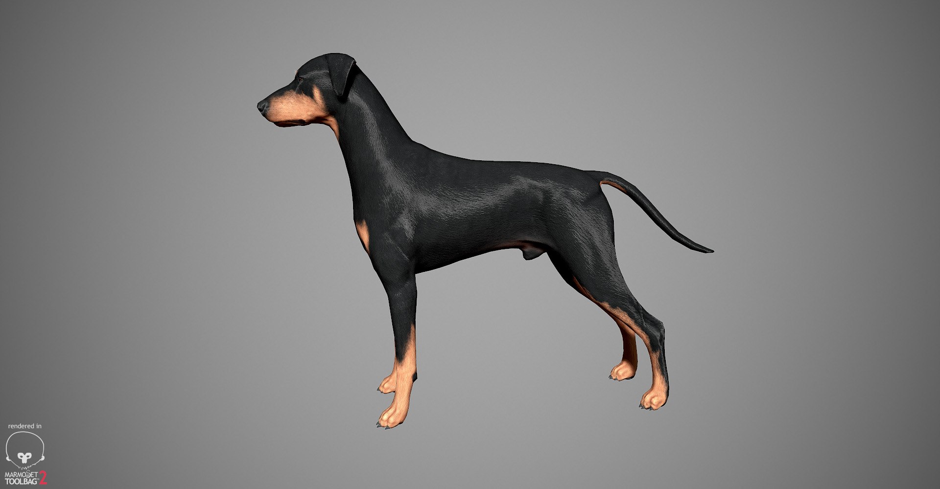 3ds guard dog pack https://p.turbosquid.com/ts-thumb/Ex/GFacbU/siJErRAU/doberman_by_alexlashko_marmoset_21/jpg/1472654119/1920x1080/fit_q87/168e56e4de8fb4bbd1532d7b18faab09493b2a62/doberman_by_alexlashko_marmoset_21.jpg