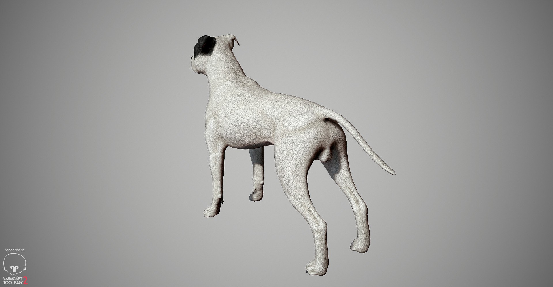 3ds guard dog pack https://p.turbosquid.com/ts-thumb/Ex/GFacbU/sn2XfMd9/pitbull_by_alexlashk_marmoset_22/jpg/1472646619/1920x1080/fit_q87/74a8bf071960c259b0b45a53730b98028f5c60ff/pitbull_by_alexlashk_marmoset_22.jpg