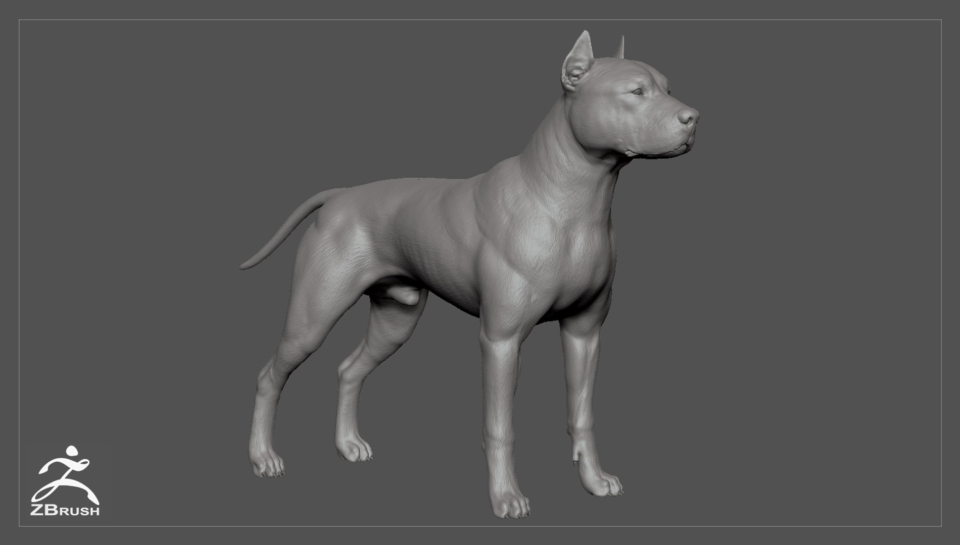 3ds guard dog pack https://p.turbosquid.com/ts-thumb/Ex/GFacbU/soBTR1kt/pitbull_by_alexlashko_zbrush_01/jpg/1472648064/1920x1080/fit_q87/439d0a09e50fa37cfb8f75fd500ac23547b39748/pitbull_by_alexlashko_zbrush_01.jpg