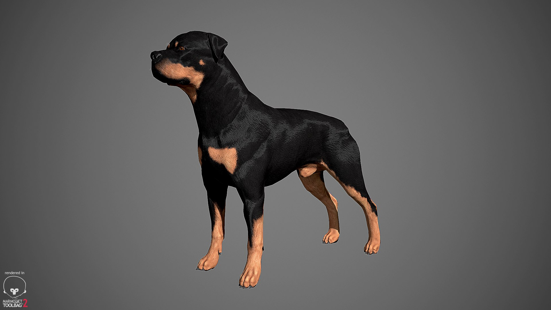 3ds guard dog pack https://p.turbosquid.com/ts-thumb/Ex/GFacbU/tAYMBipf/rottweiler_by_alexlashko_marmoset_09/png/1472649708/1920x1080/fit_q87/d389c4ee75bf441732b67f353d6baa9a3b3c3279/rottweiler_by_alexlashko_marmoset_09.jpg