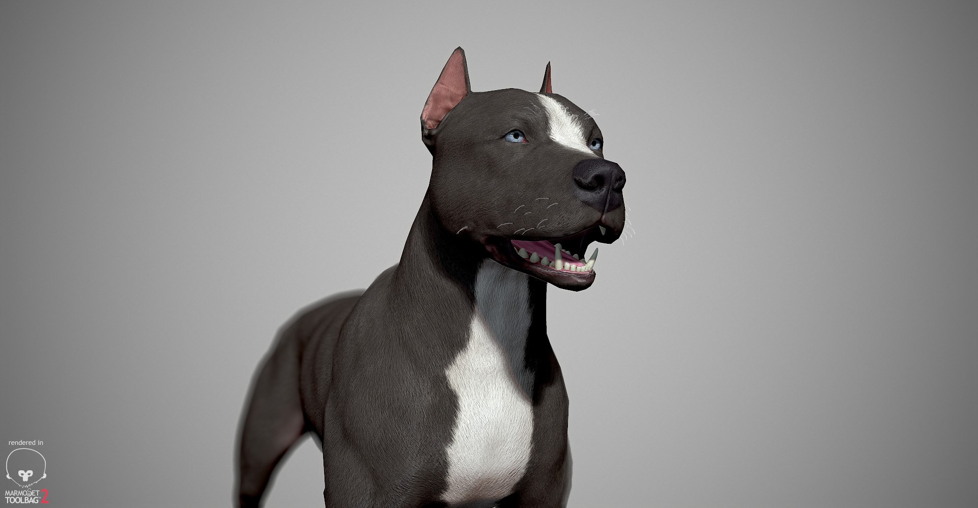3ds guard dog pack https://p.turbosquid.com/ts-thumb/Ex/GFacbU/xAYspCui/pitbull_by_alexlashk_marmoset_14/jpg/1472646619/1920x1080/fit_q87/b4437404105400c64fb7a491498ec07ec0210a30/pitbull_by_alexlashk_marmoset_14.jpg