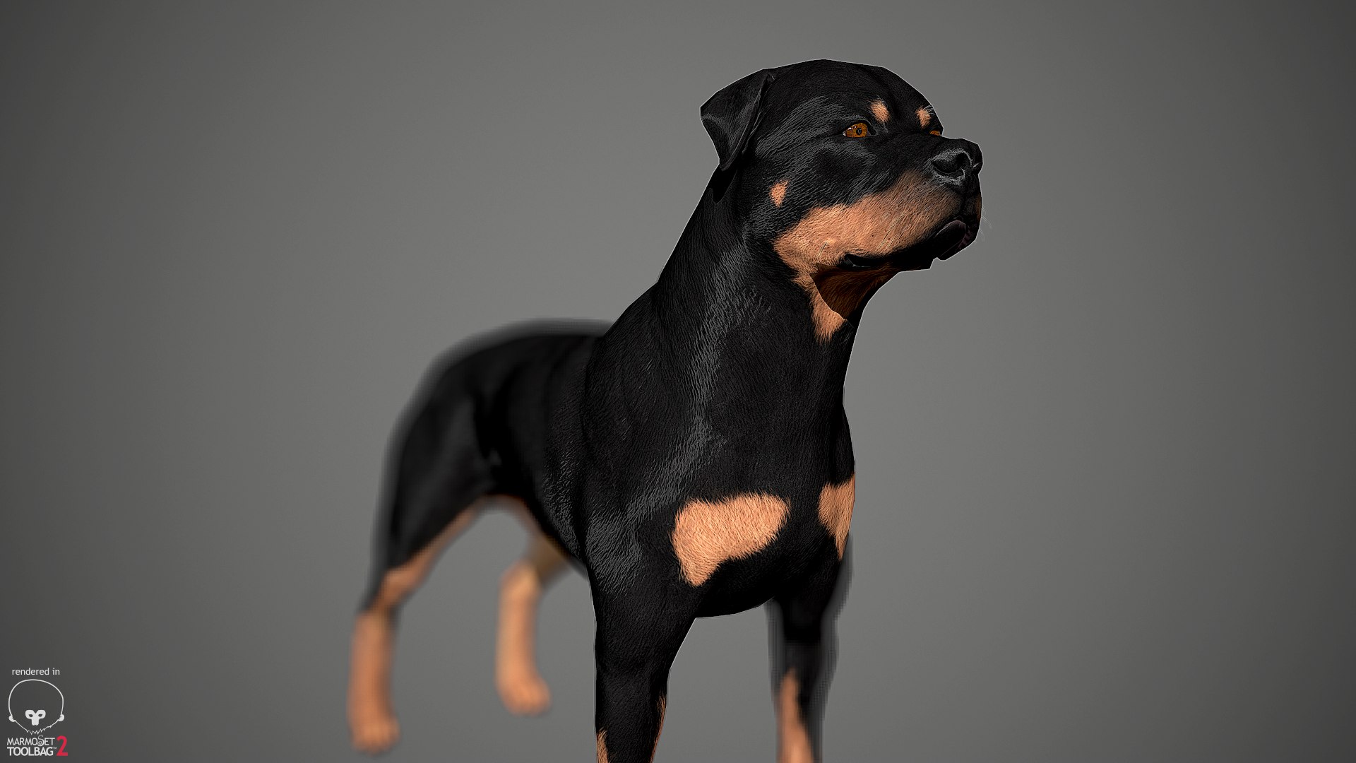 3ds guard dog pack https://p.turbosquid.com/ts-thumb/Ex/GFacbU/xDiYqqcE/rottweiler_by_alexlashko_marmoset_12/png/1472649709/1920x1080/fit_q87/c659e2bab37b2f6a2fa7a419b63d7a5ceb371245/rottweiler_by_alexlashko_marmoset_12.jpg