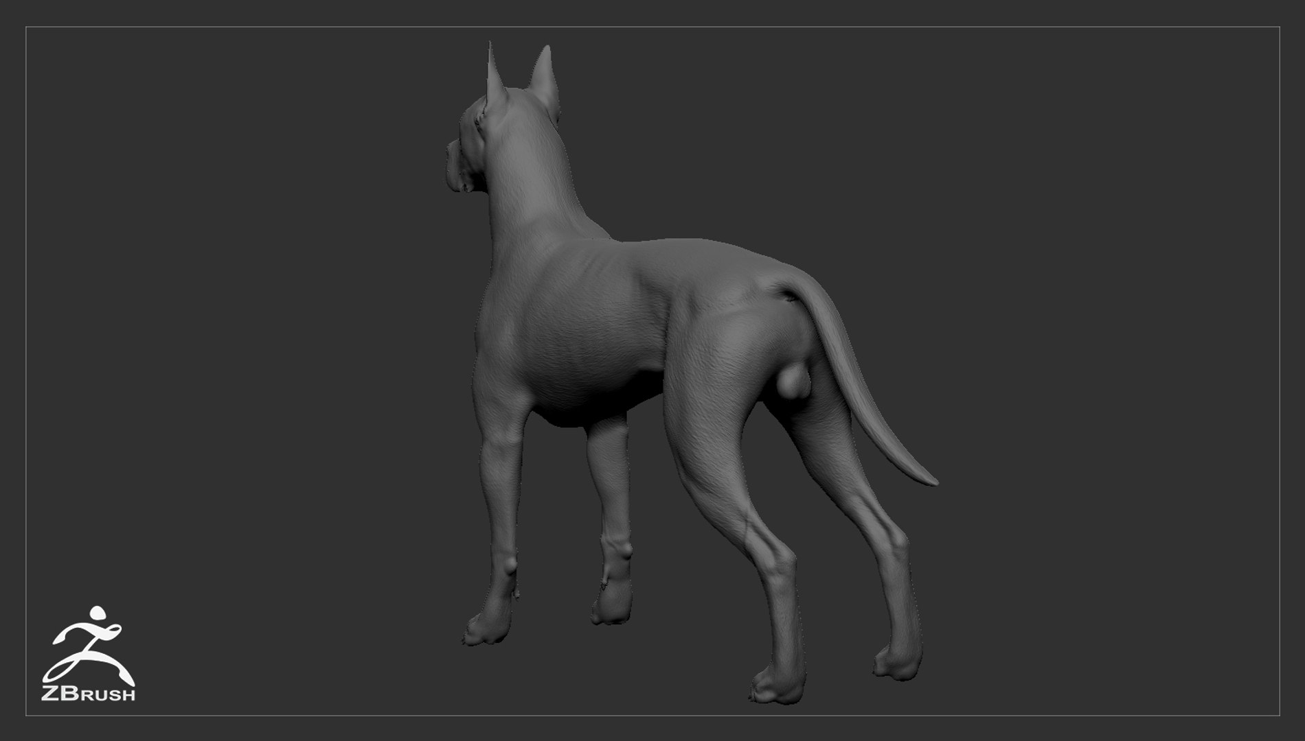 3ds guard dog pack https://p.turbosquid.com/ts-thumb/Ex/GFacbU/ytXhsPXu/greatdane_zbrush_05/jpg/1472653568/1920x1080/fit_q87/6c4e6bd9bae805eaea21658e1486a6f24f32583d/greatdane_zbrush_05.jpg