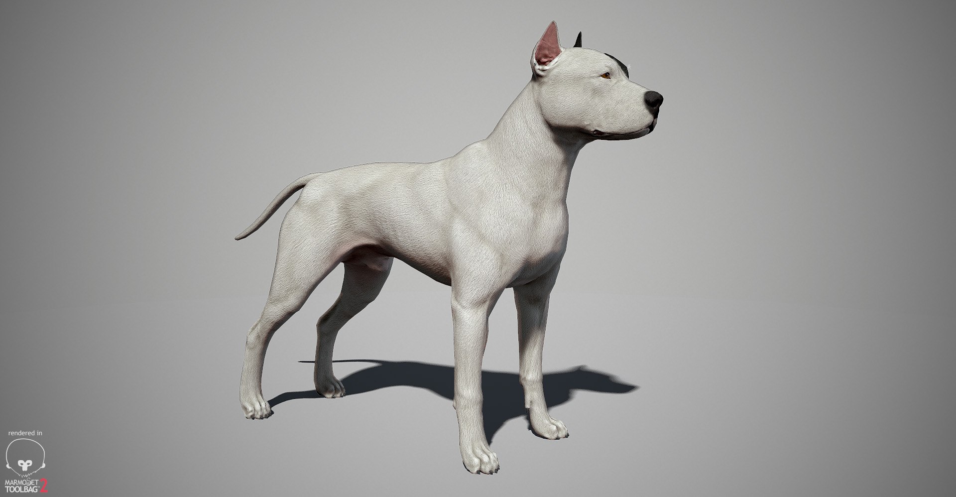 3ds guard dog pack https://p.turbosquid.com/ts-thumb/Ex/GFacbU/yvLTA4uF/pitbull_by_alexlashk_marmoset_03/jpg/1472646618/1920x1080/fit_q87/bb81656e9d3904f5f6b8931a1918f1890ee58f88/pitbull_by_alexlashk_marmoset_03.jpg