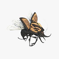 Mythical Warcraft Beetle